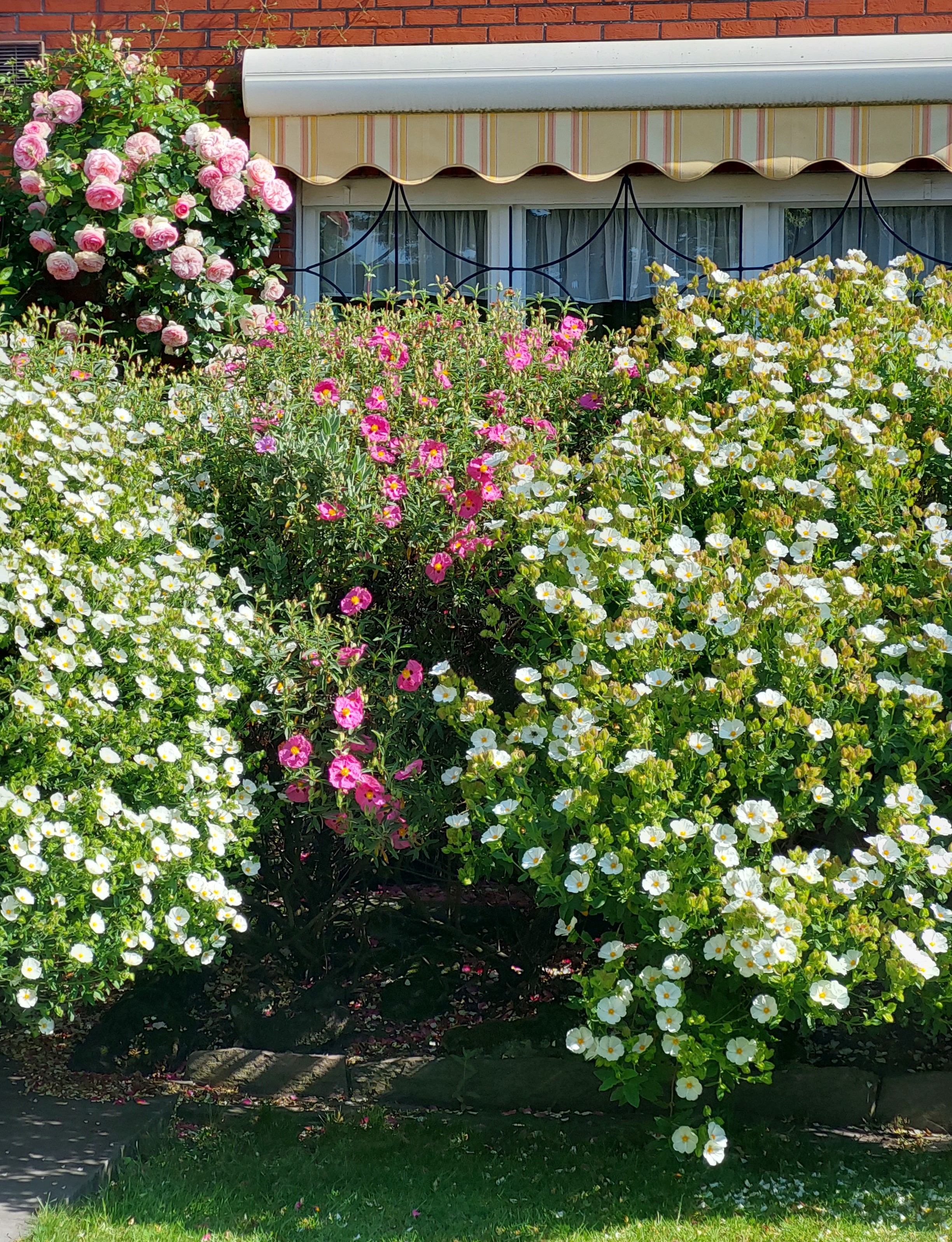 Tuin Vanheuckelom
