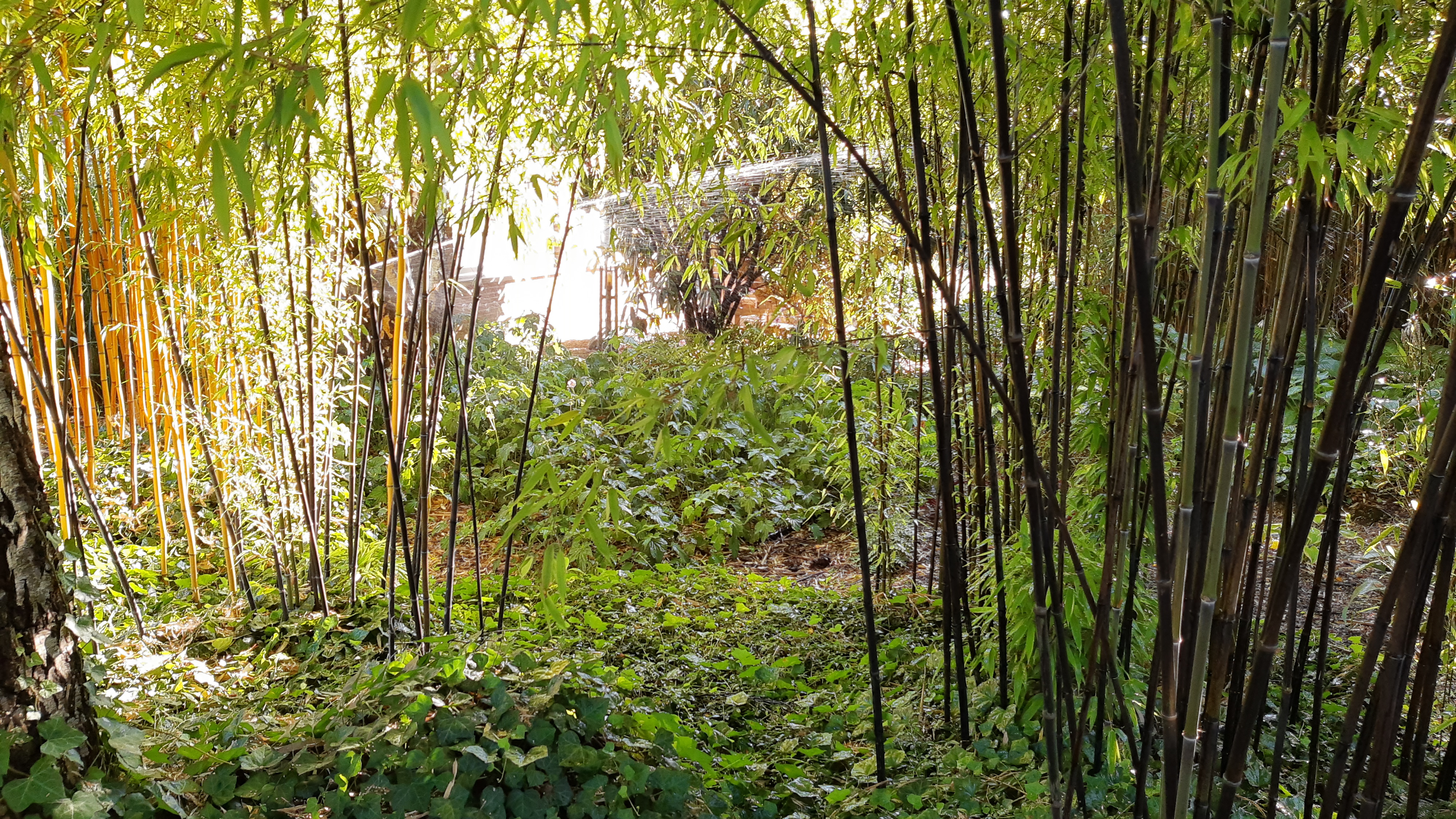 Tuin Sempre Verde