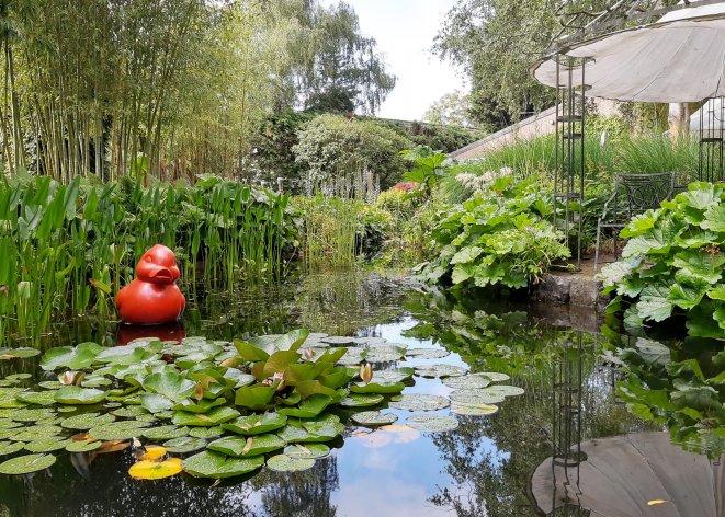 Tuin Sempre Verde