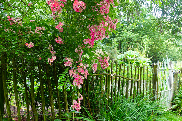 tuin Vermeulen - De Visscher