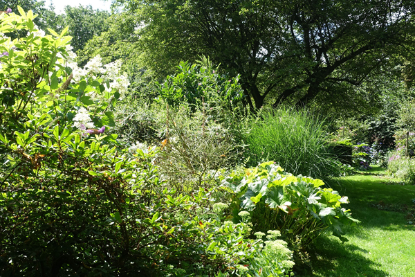 tuin Vermeulen - De Visscher