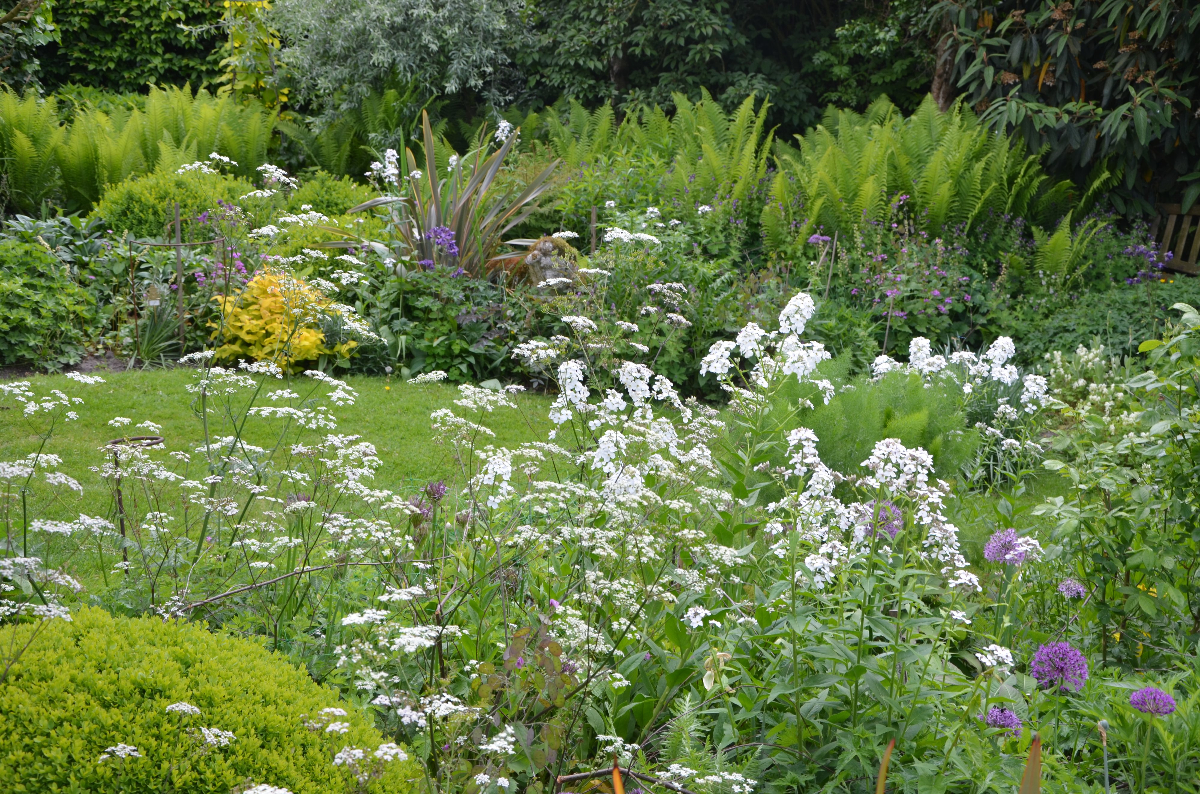 tuin Marc Vermeulen