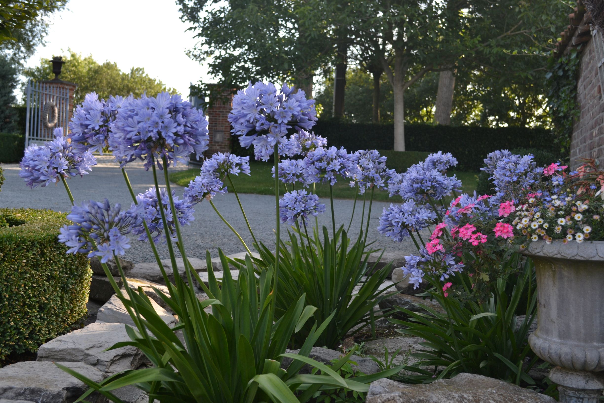 Tuin Tim Wyckstandt