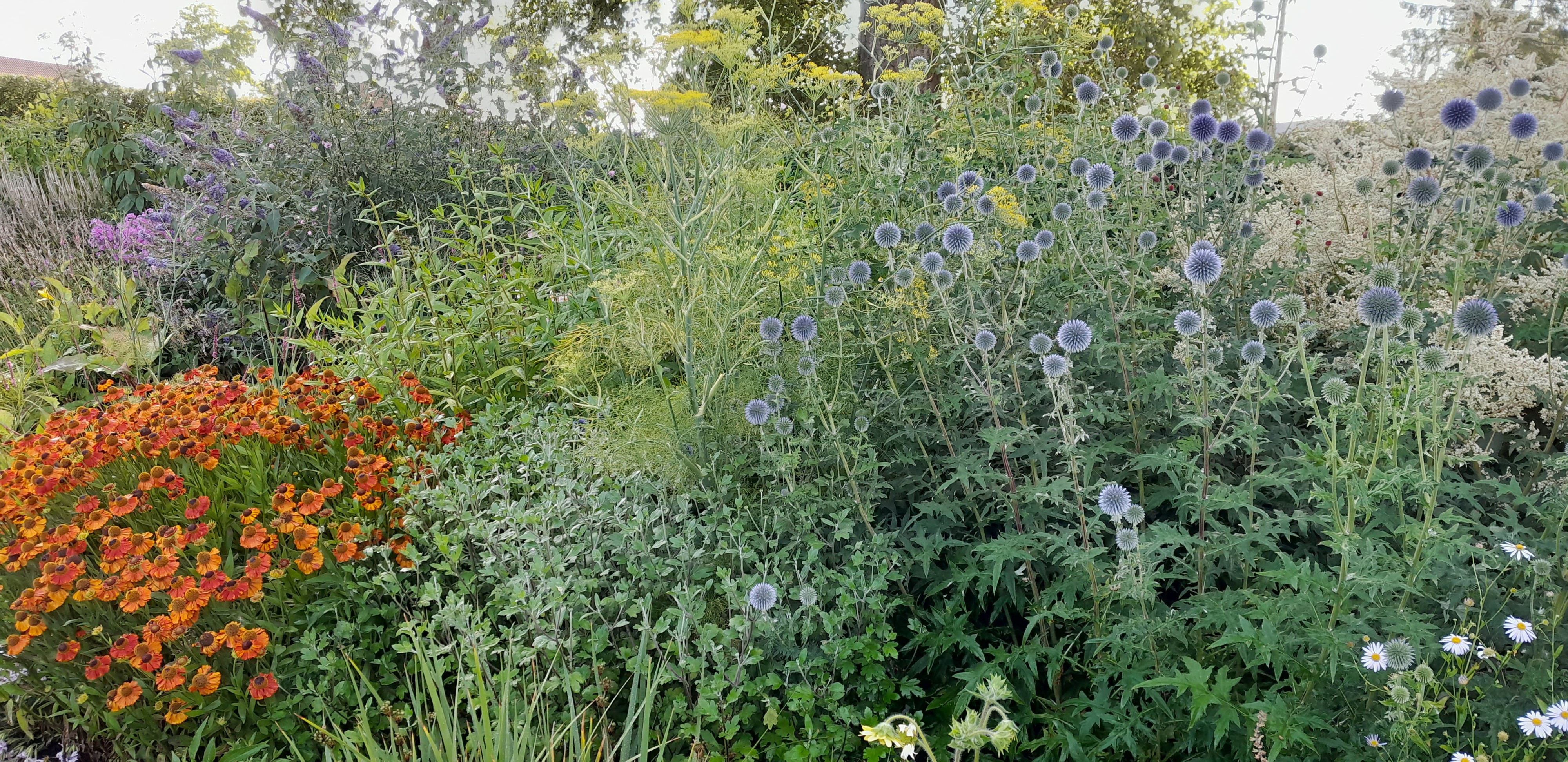 Tuin Stefaan Verhulst 