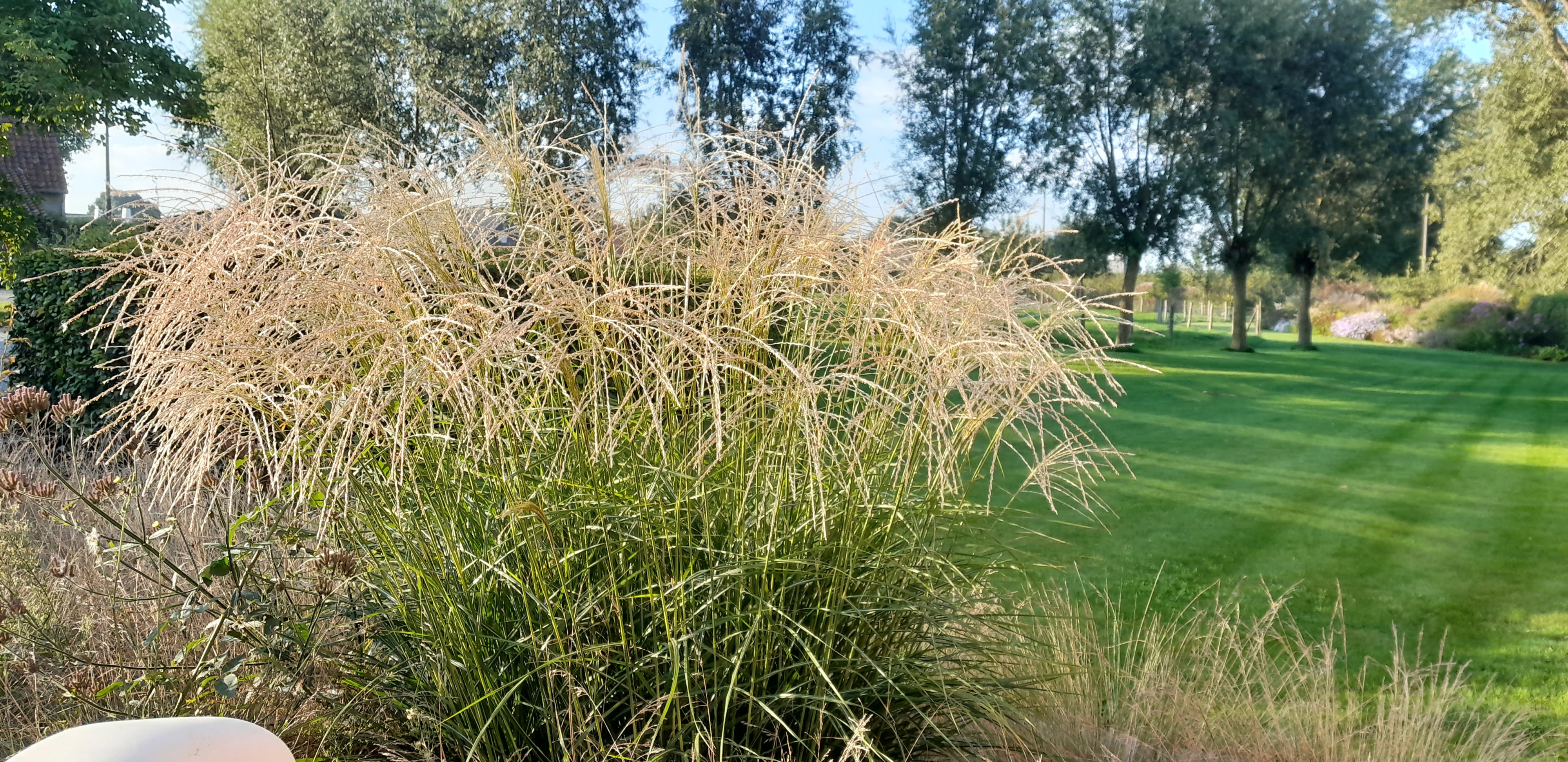 Tuin Stefaan Verhulst 
