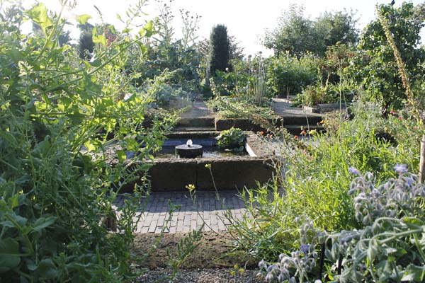 Tuin Wim Collet