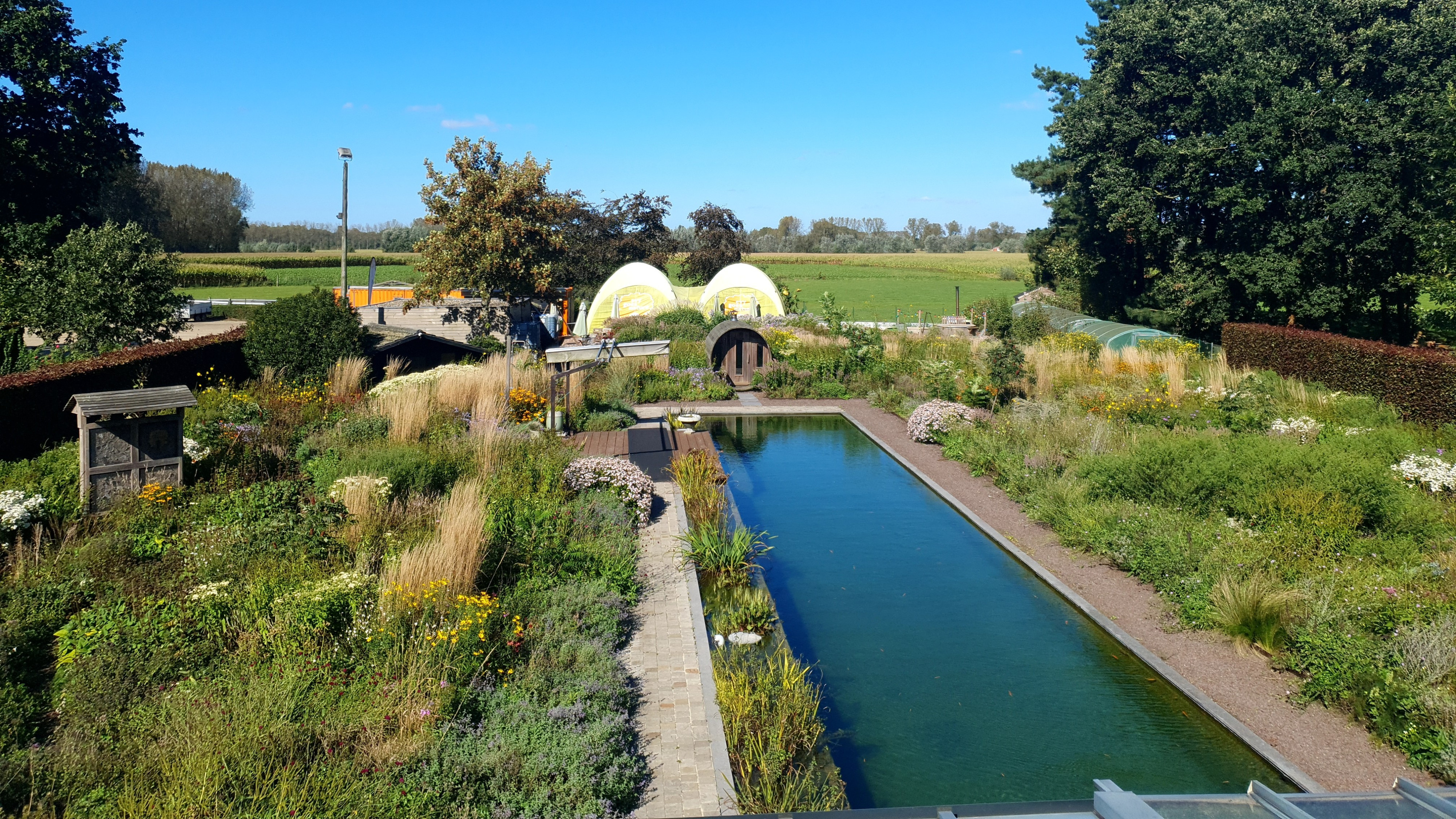 Tuin Evygoesnature