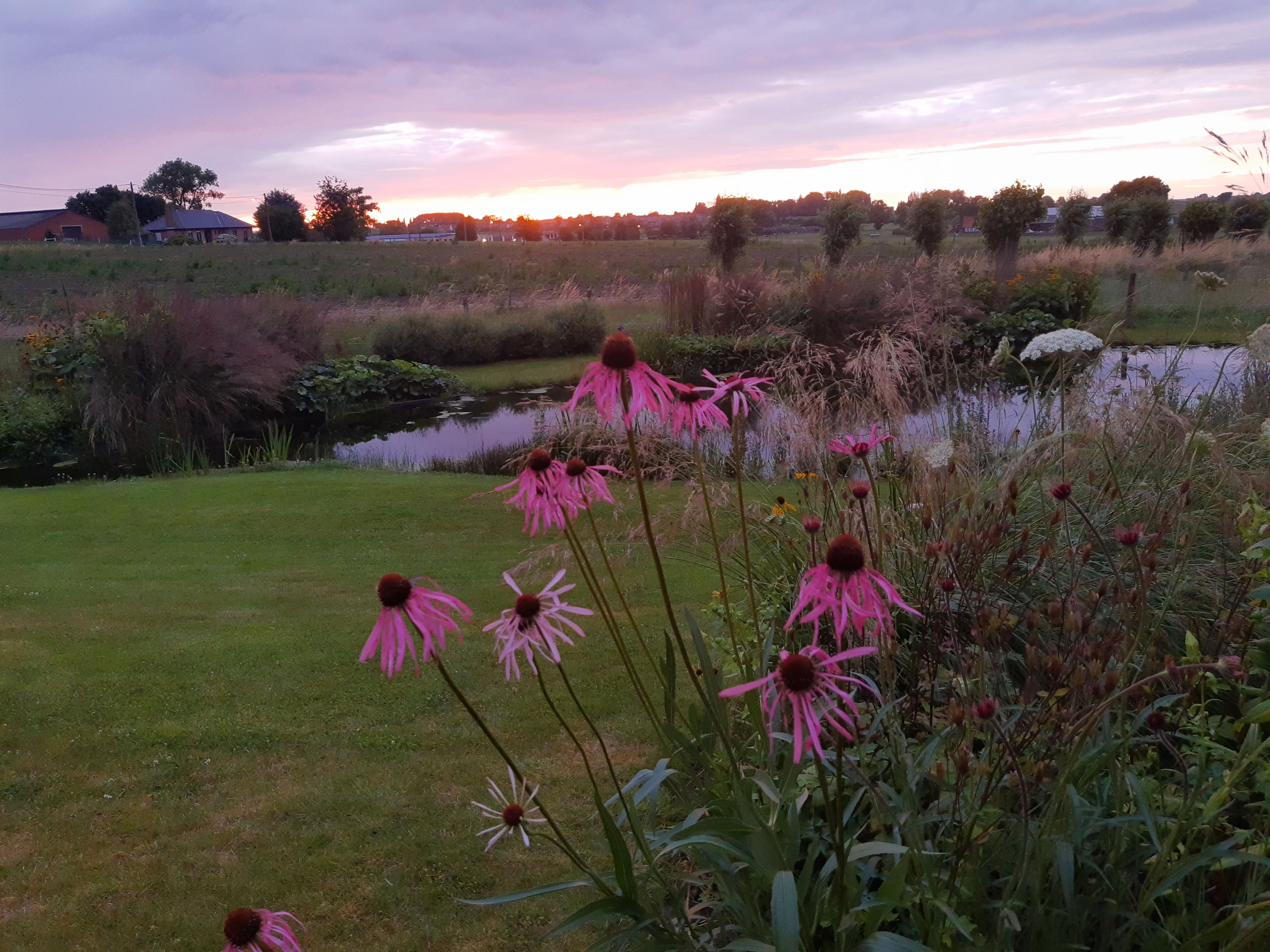 Tuin Stefaan Verhulst 