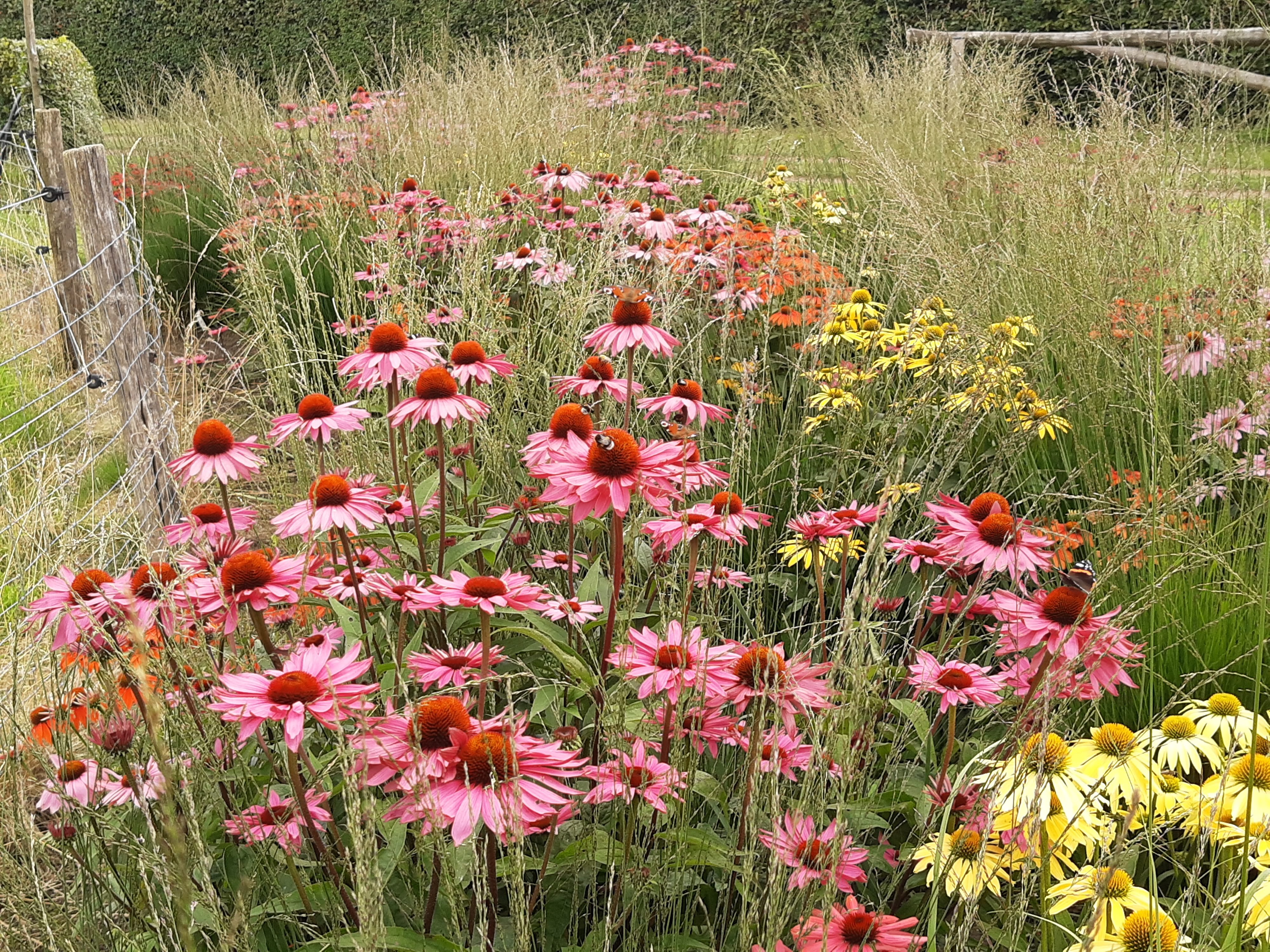 Tuin Stefaan Verhulst 