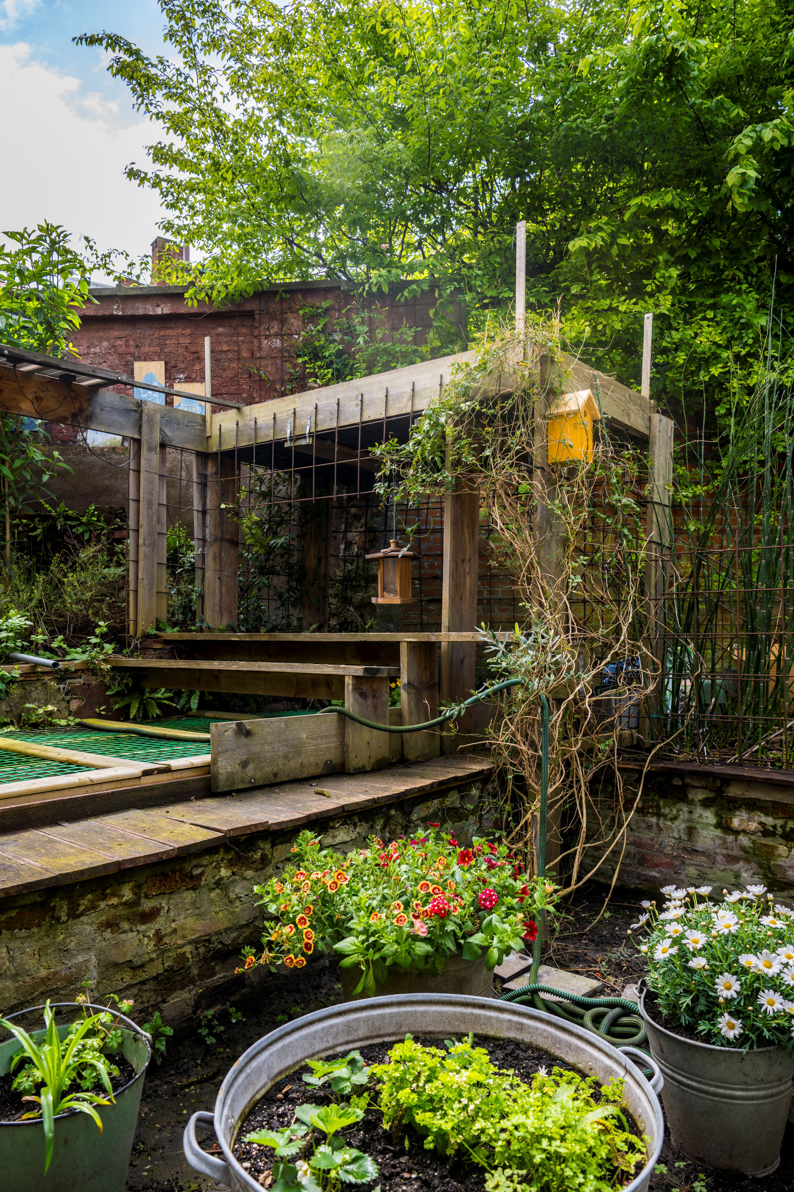 Tuin Hilde Van den Steen