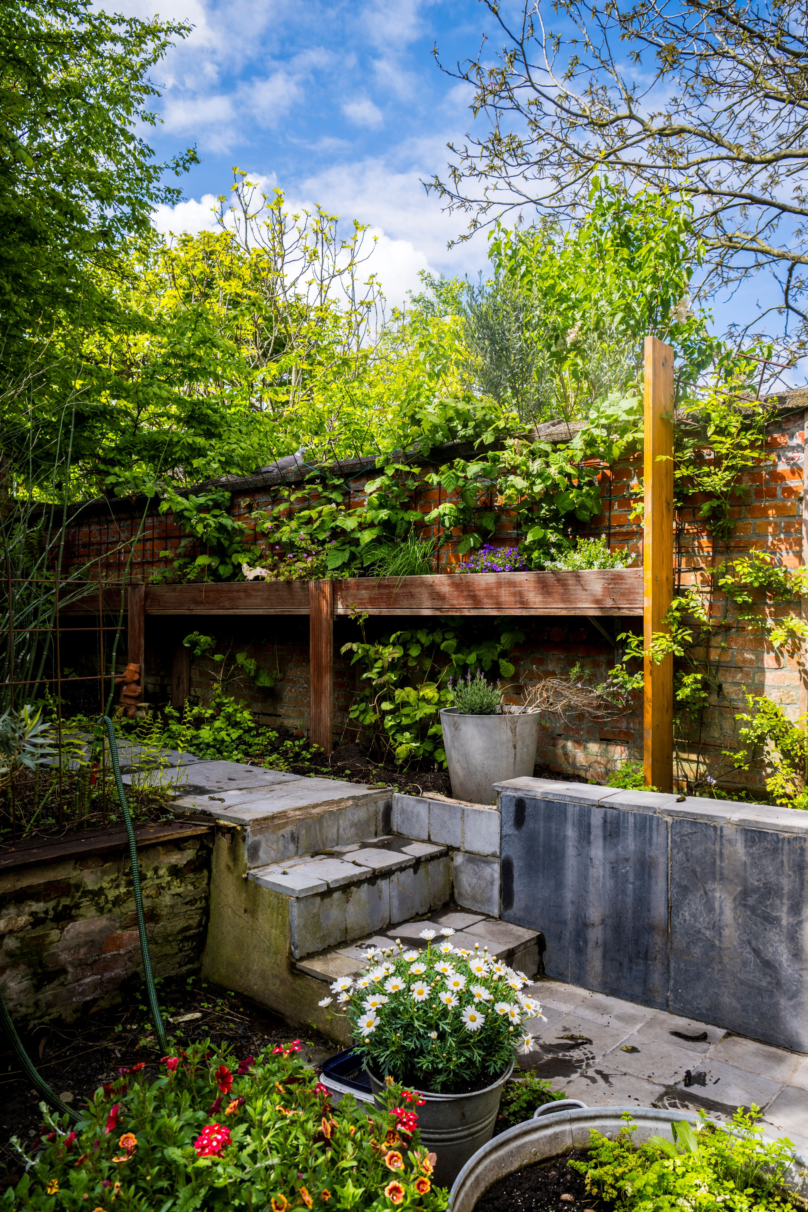Tuin Hilde Van den Steen