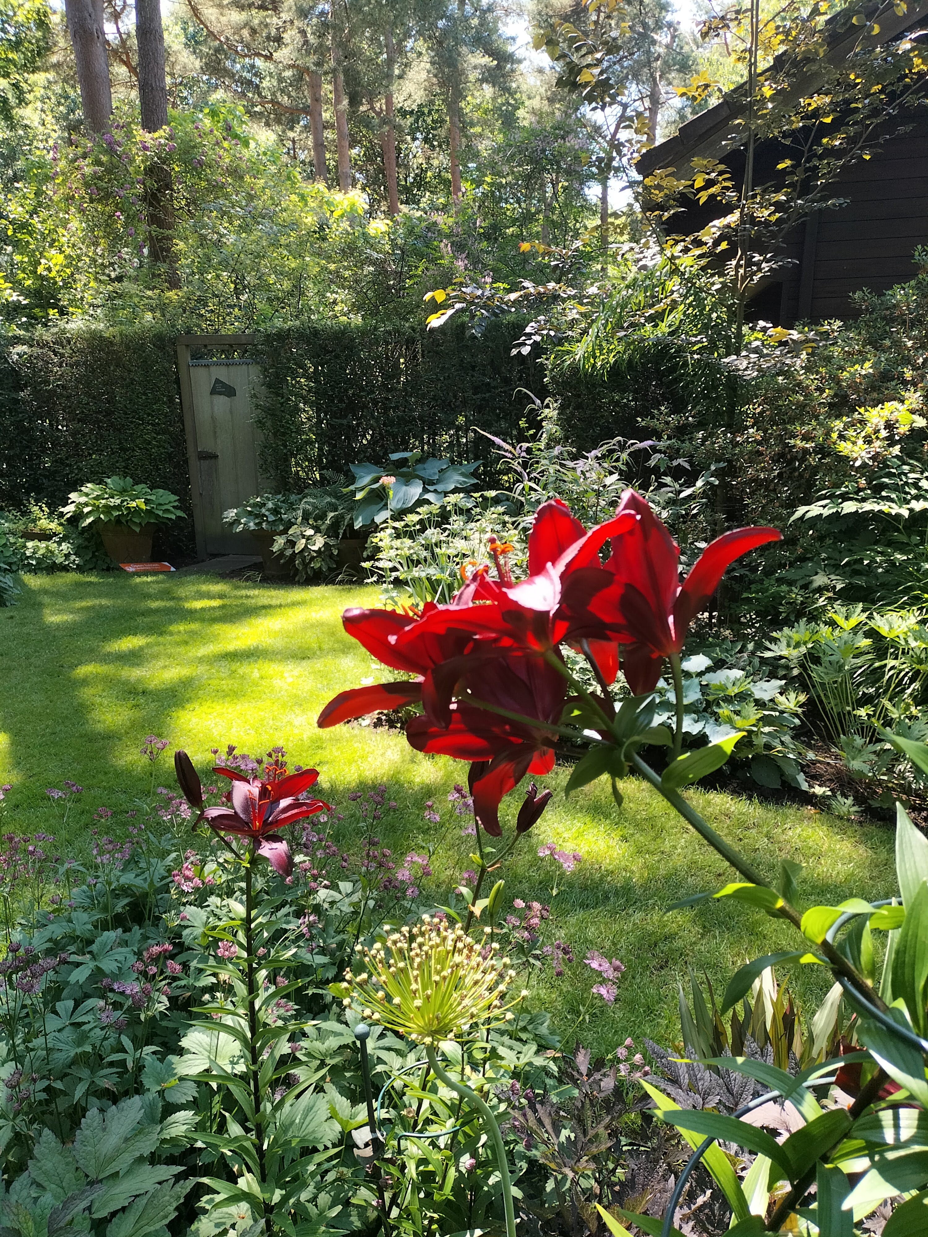 Tuin pokertuin