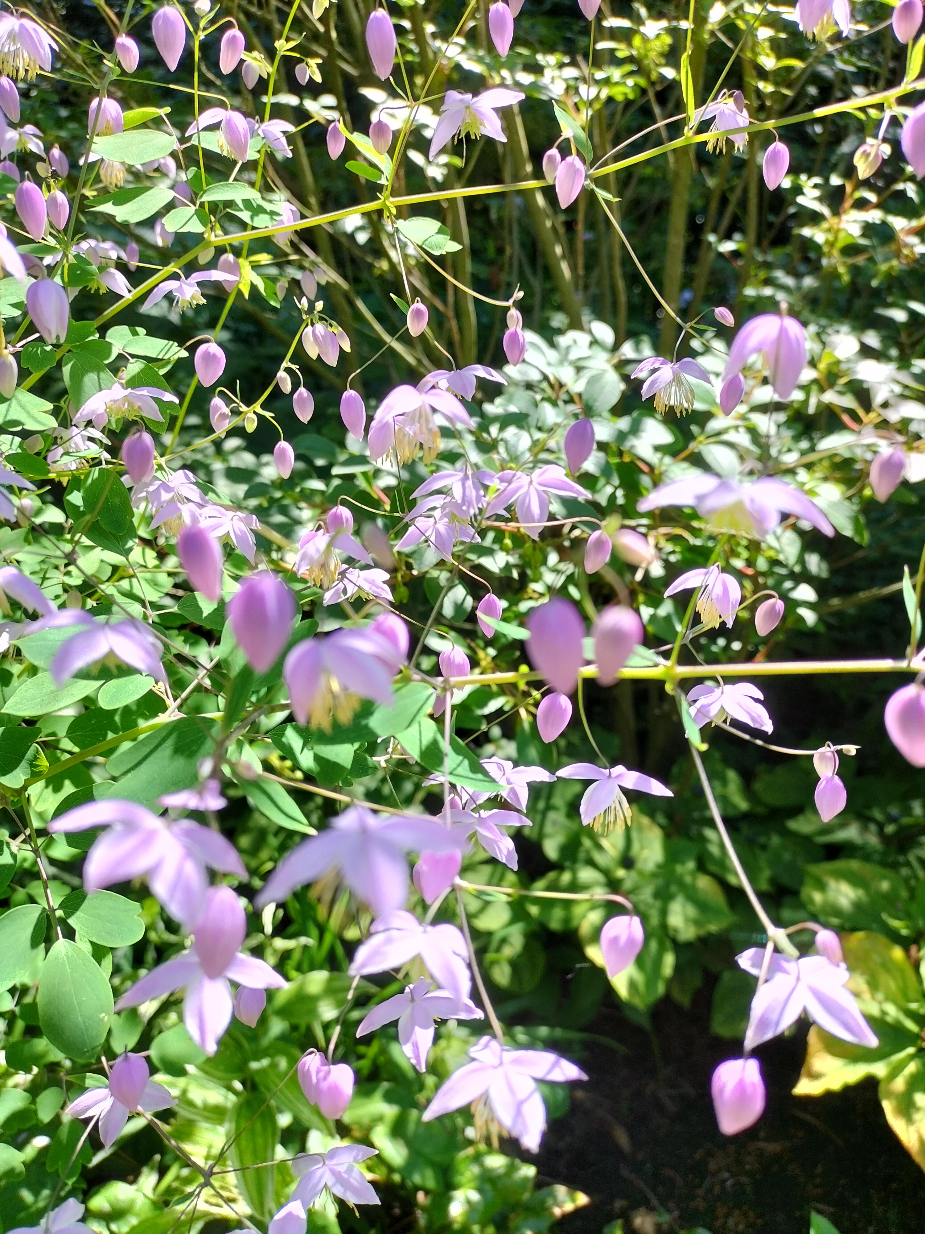 Tuin pokertuin