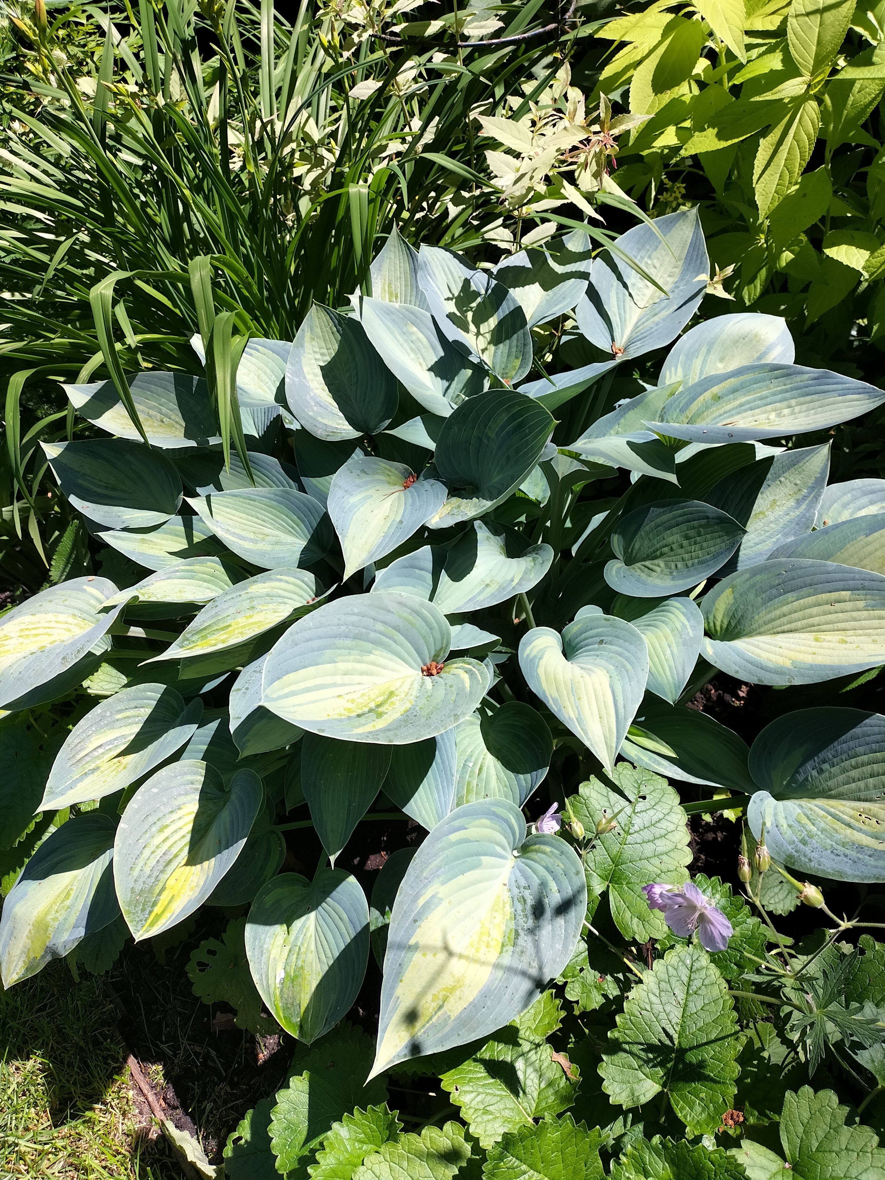 Tuin pokertuin