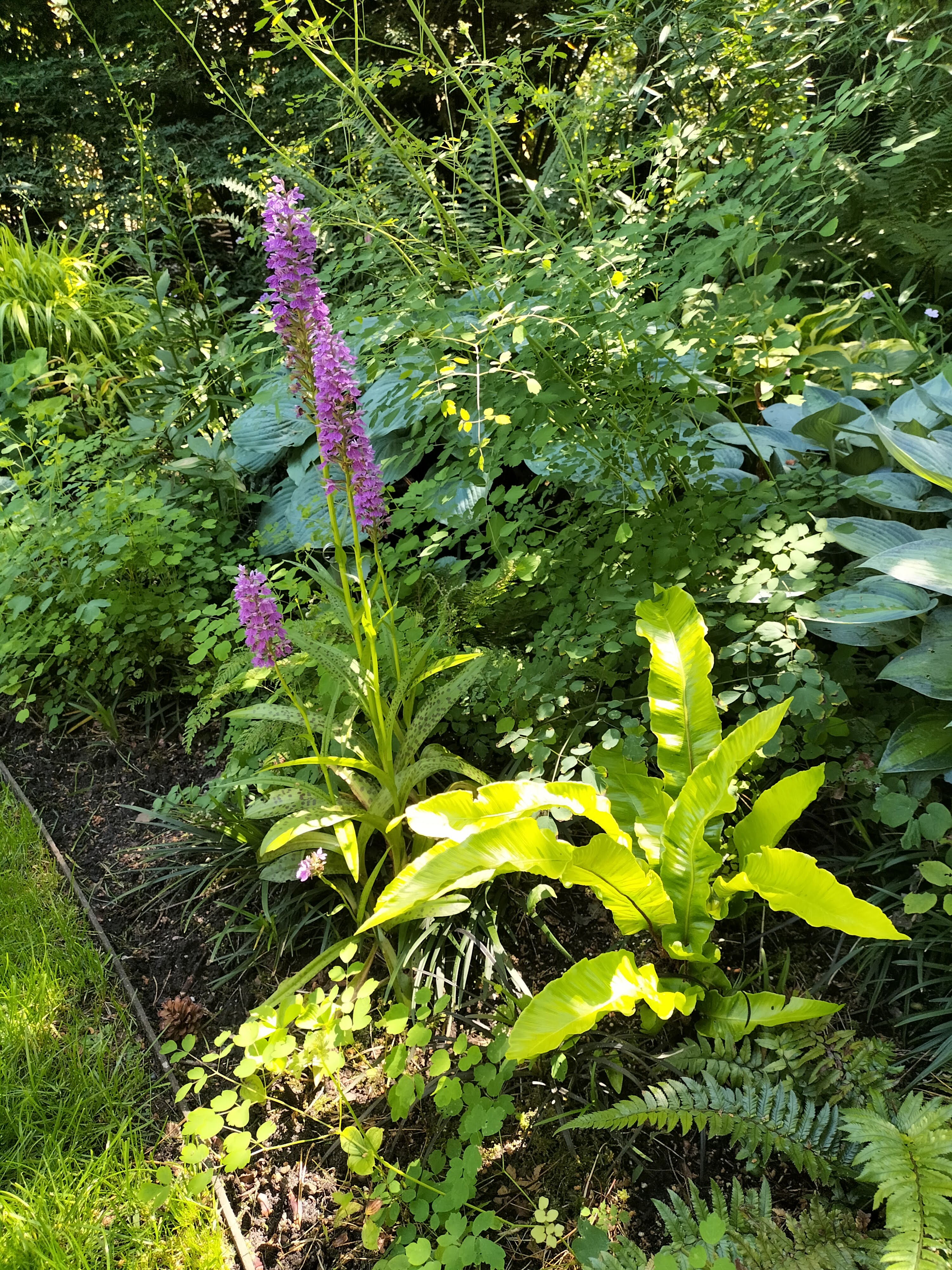 Tuin pokertuin