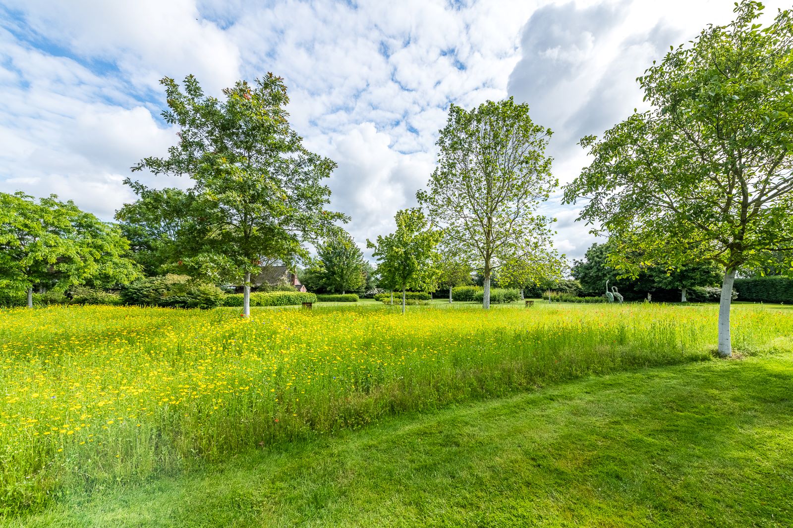 Tuin Paul en Erna  Van Damme - De Rycke