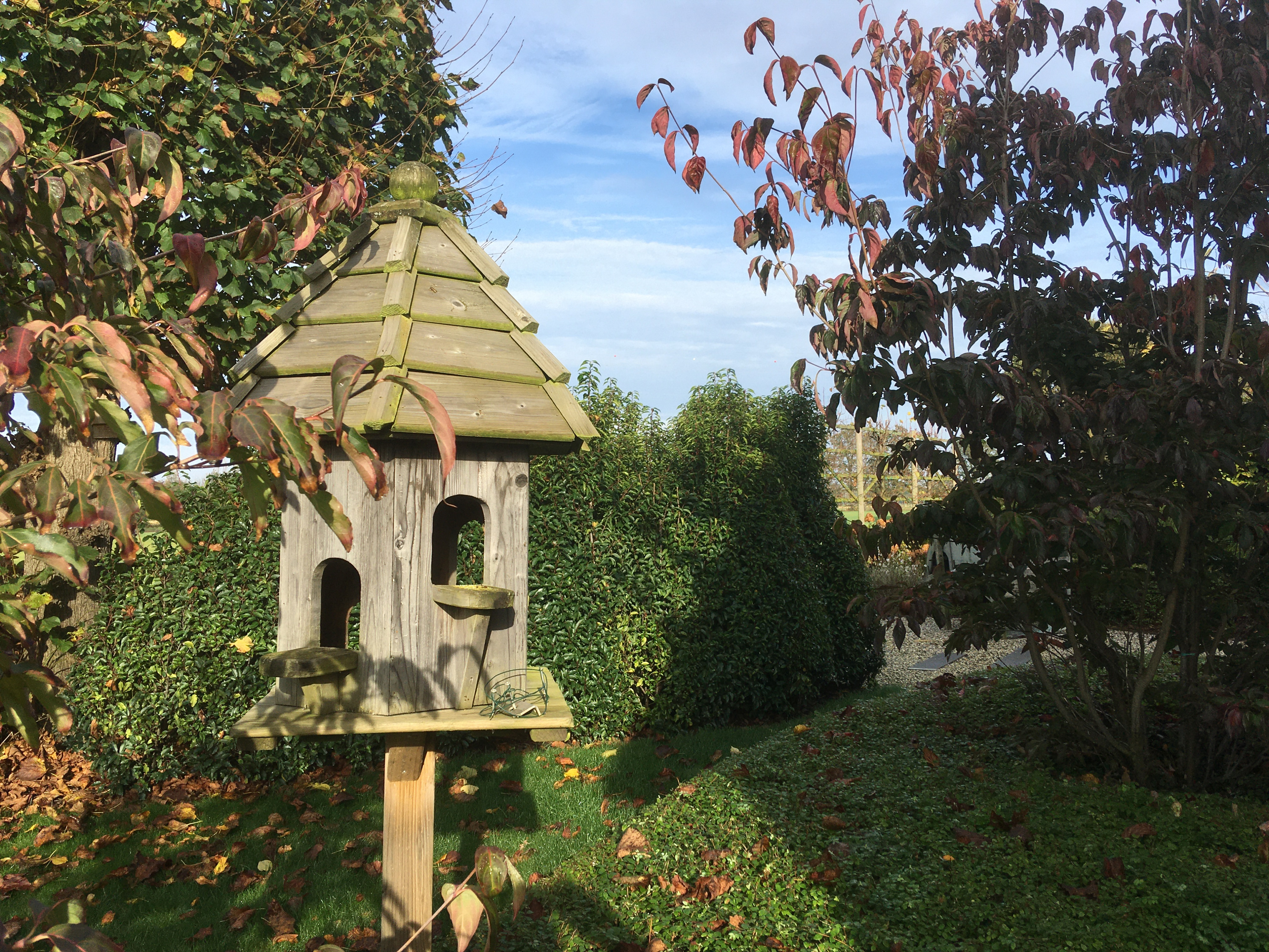 Tuin Kim Schuurmans