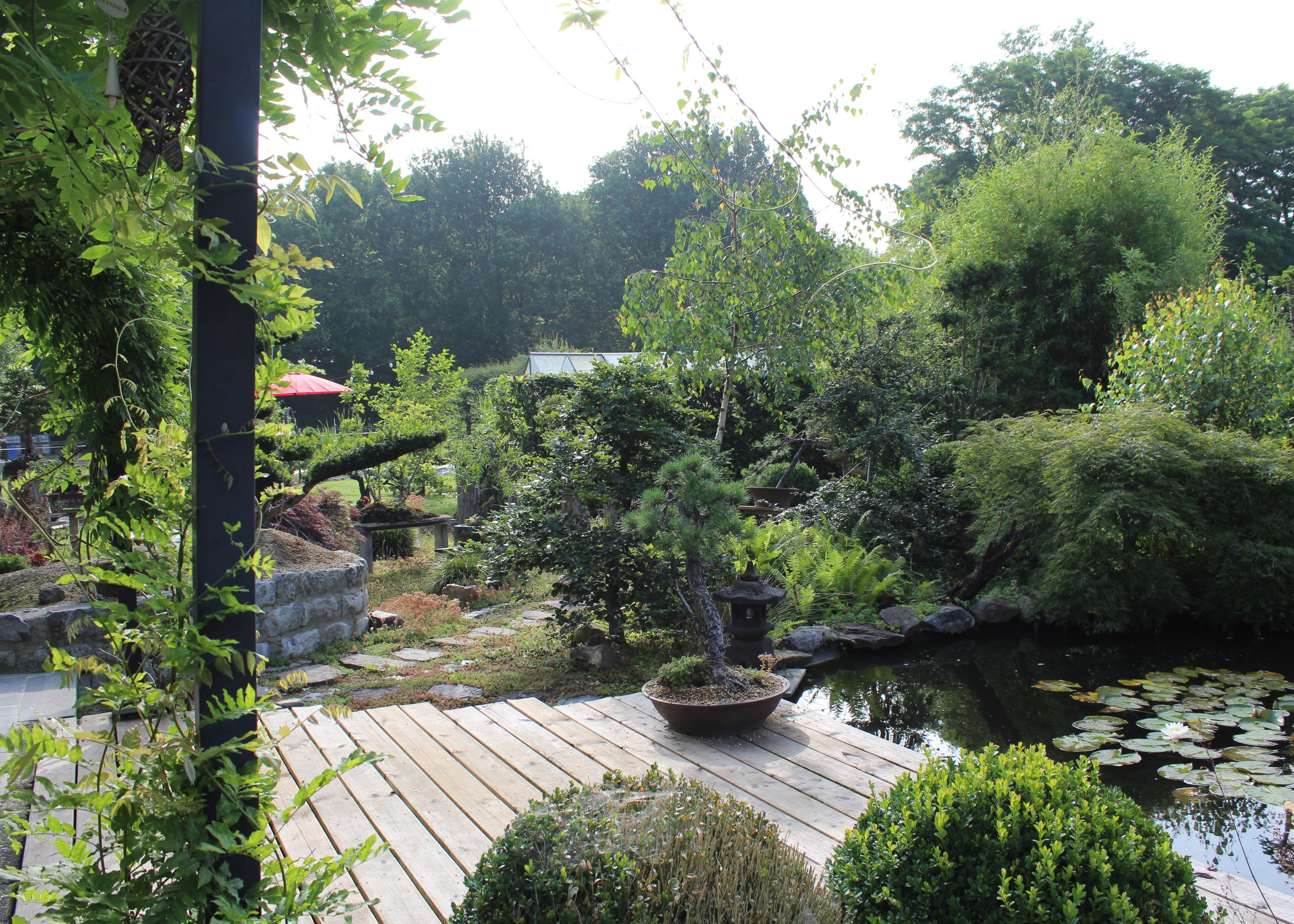 Tuin Ikigai