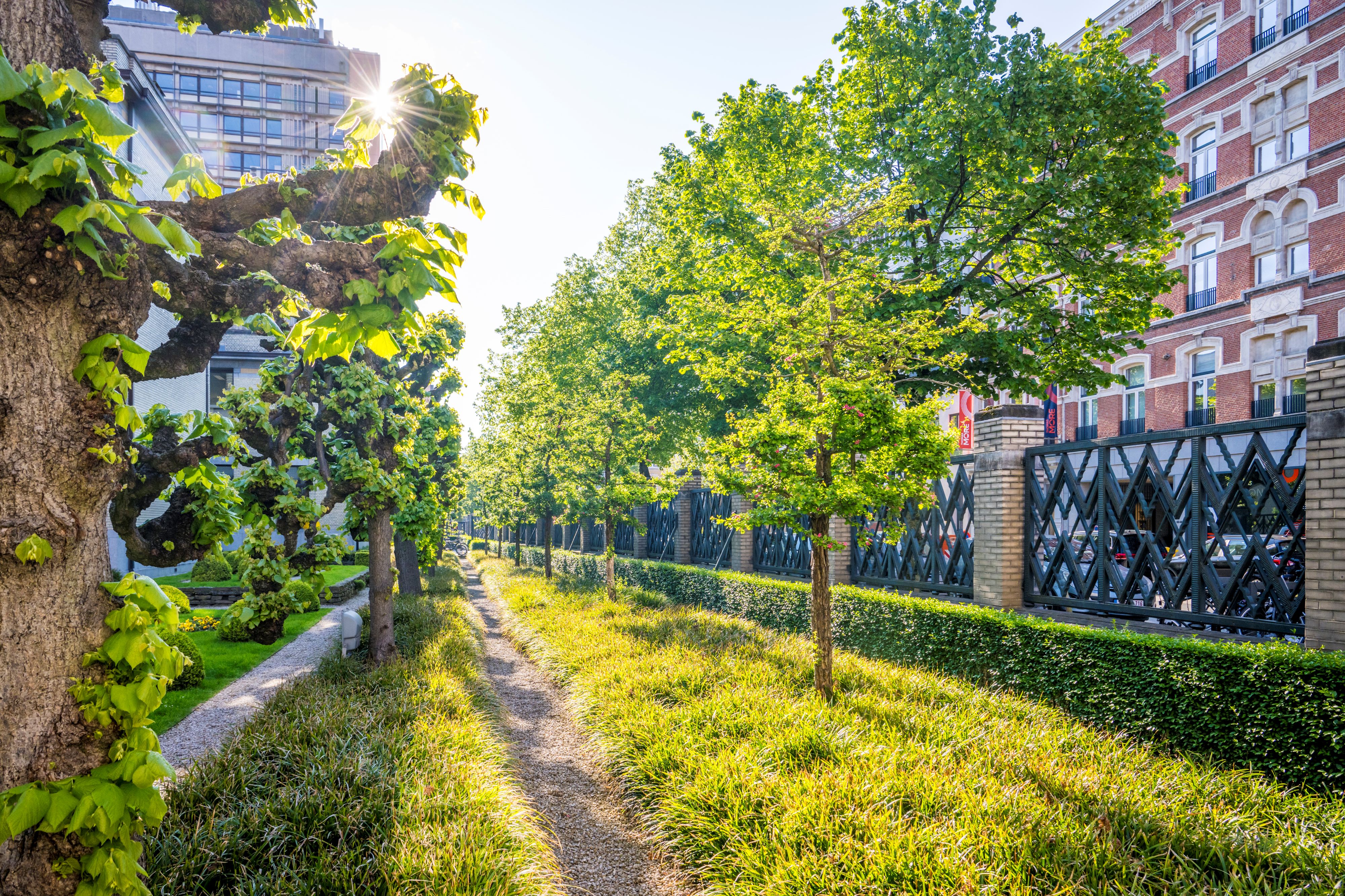 Tuin Instituut voor tropische geneeskunde