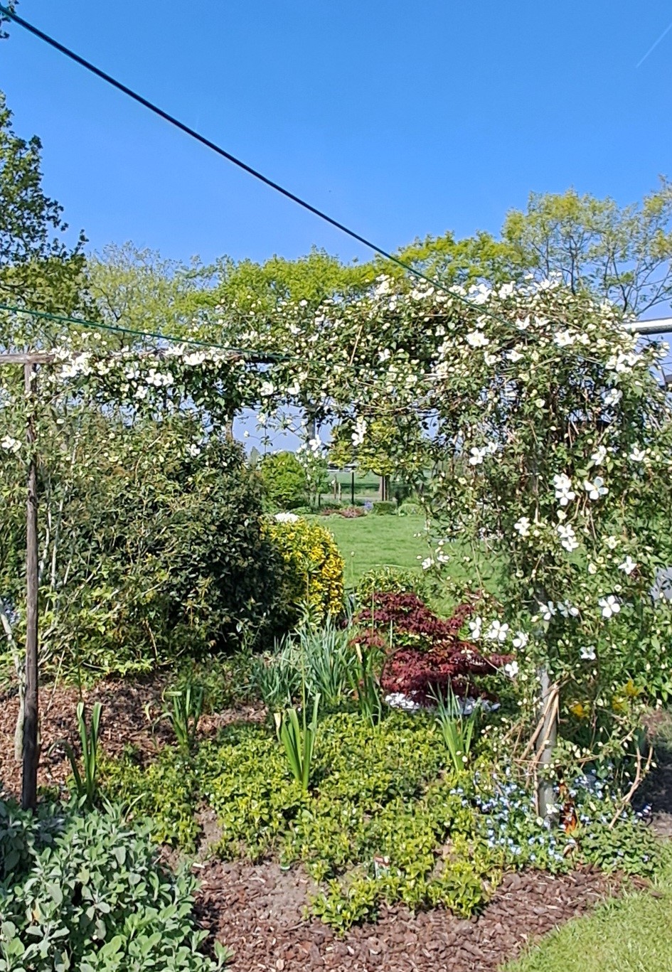 Tuin Els Acke