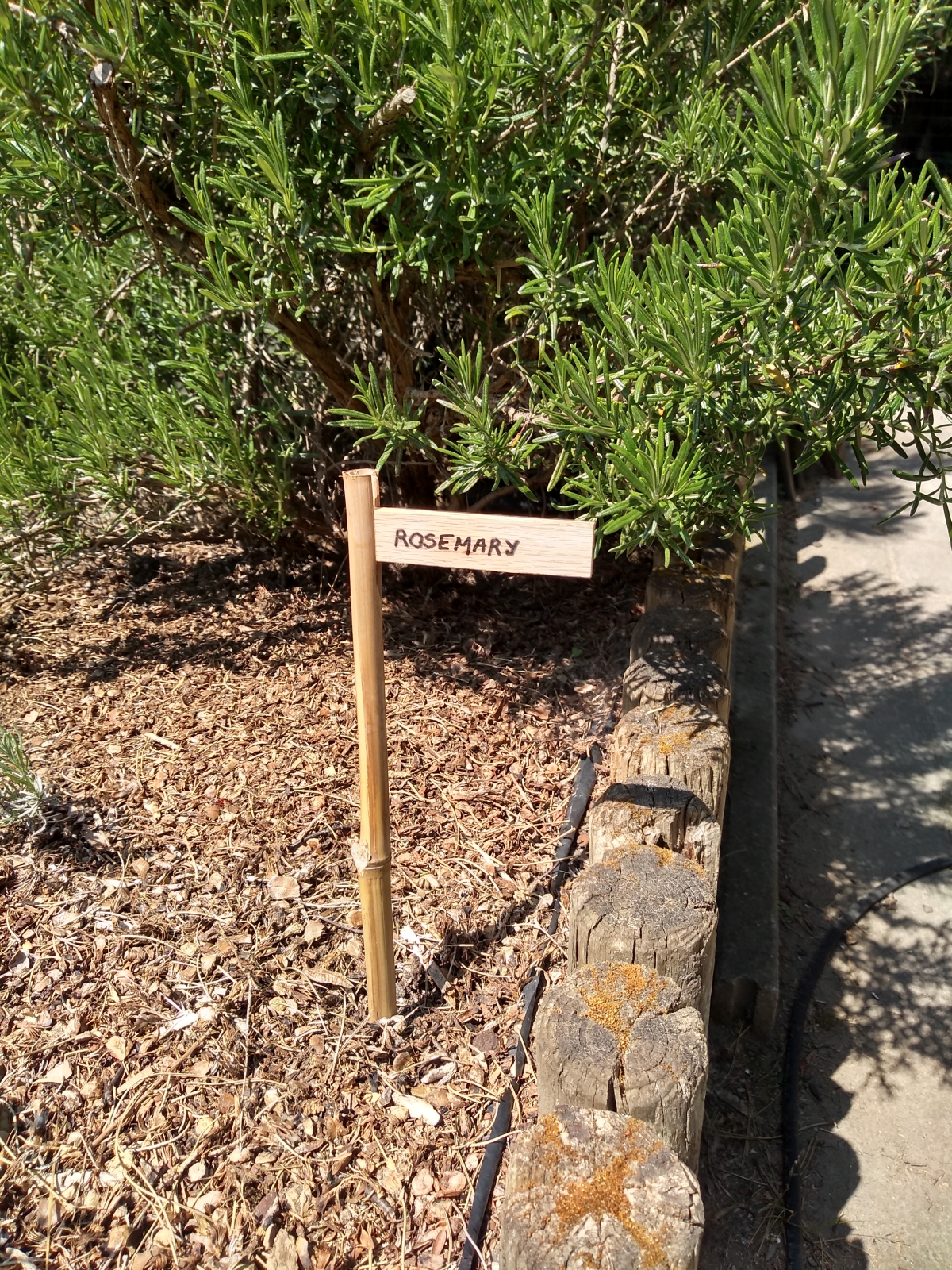 Tuin van Hugo en Rika
