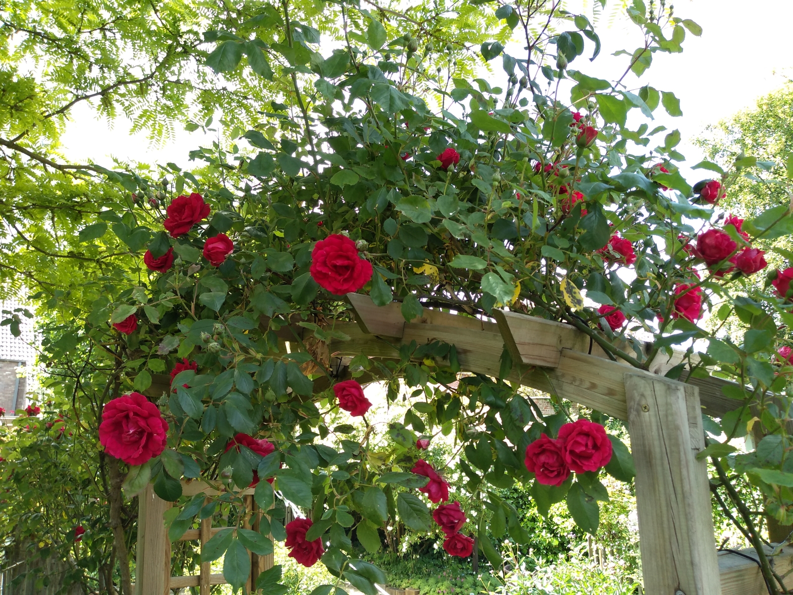 Tuin van Hugo en Rika