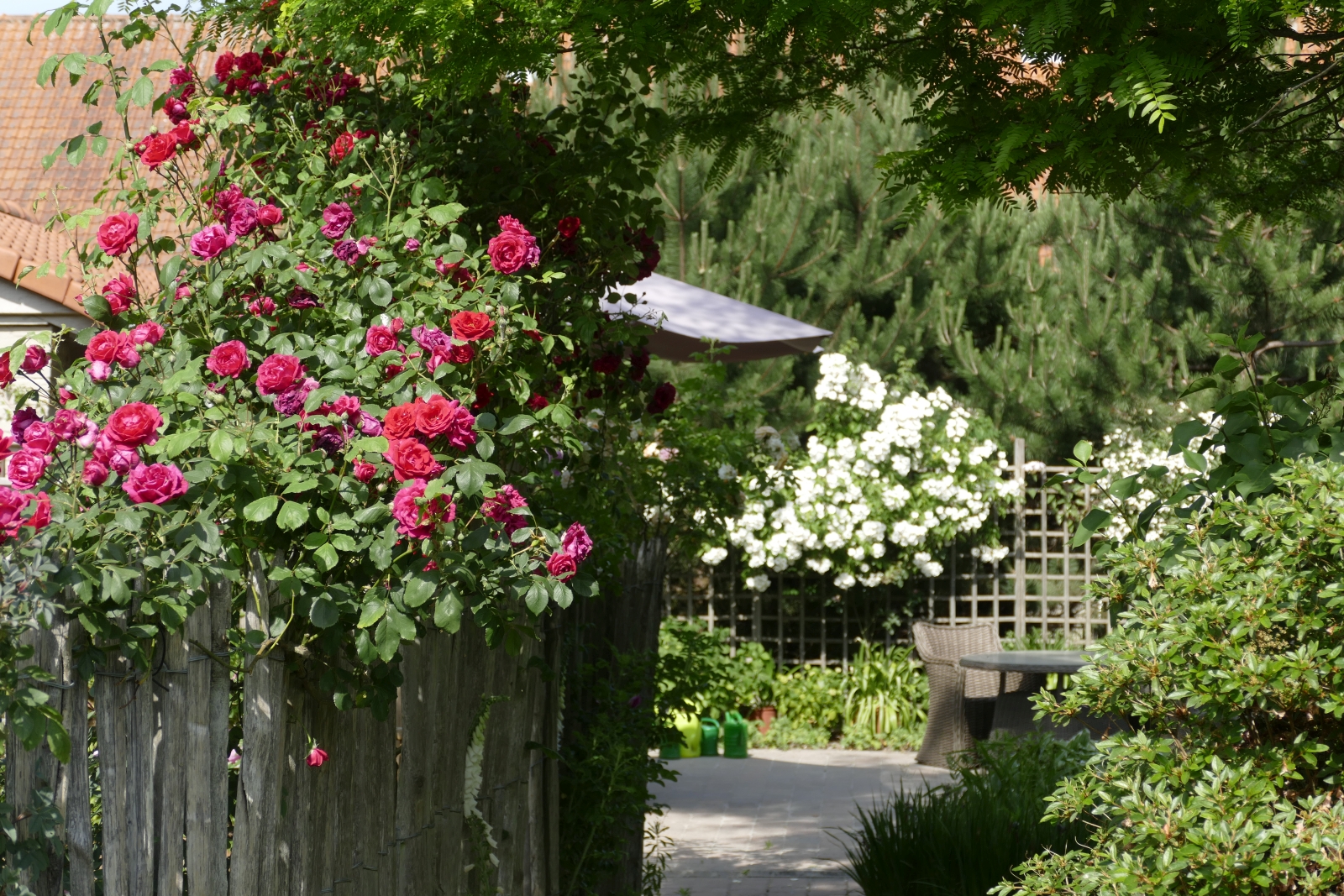 Tuin van Hugo en Rika
