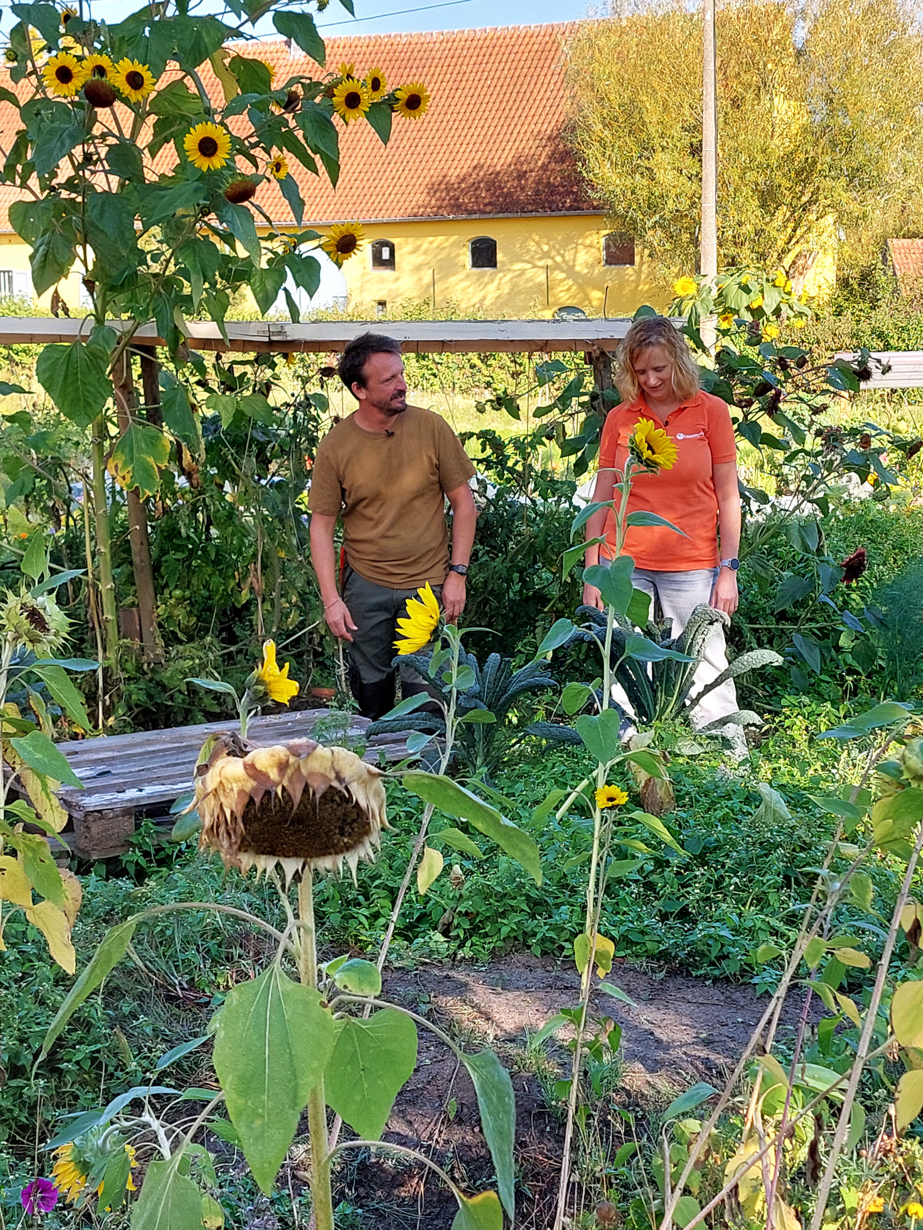 Kris en Tinneke staan in de moestuin