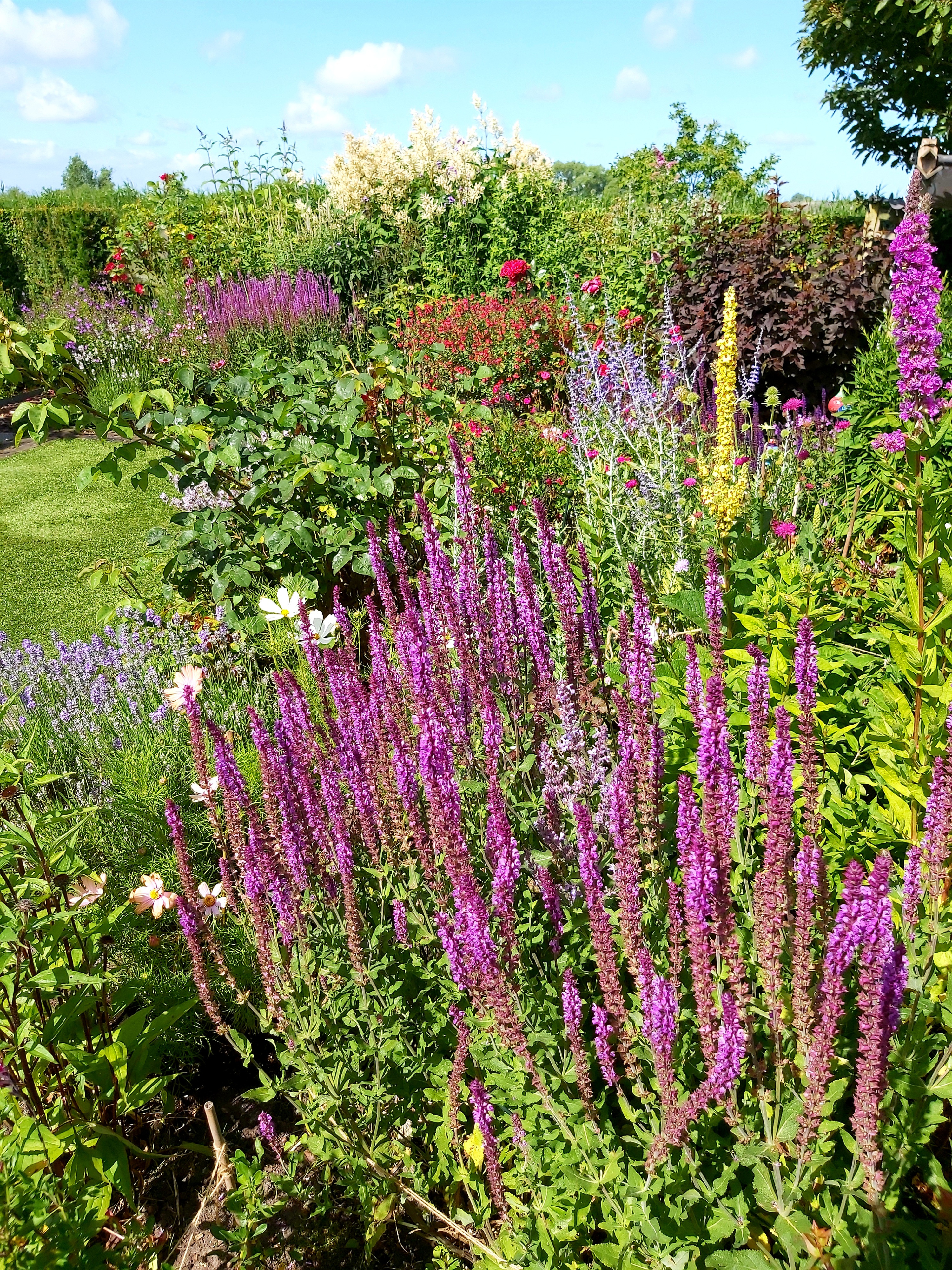 Tuin Christiane Verheire