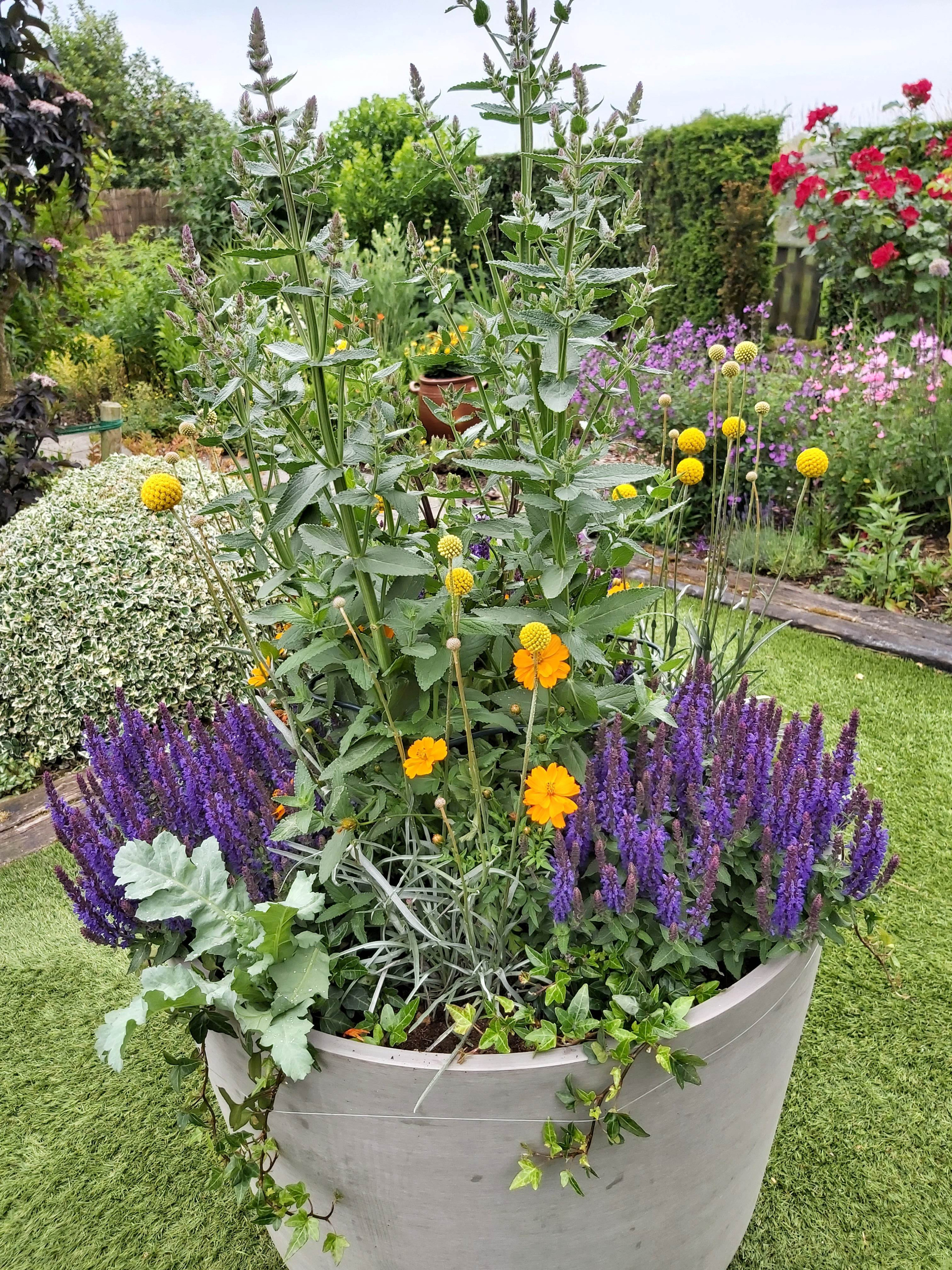 Tuin Christiane Verheire