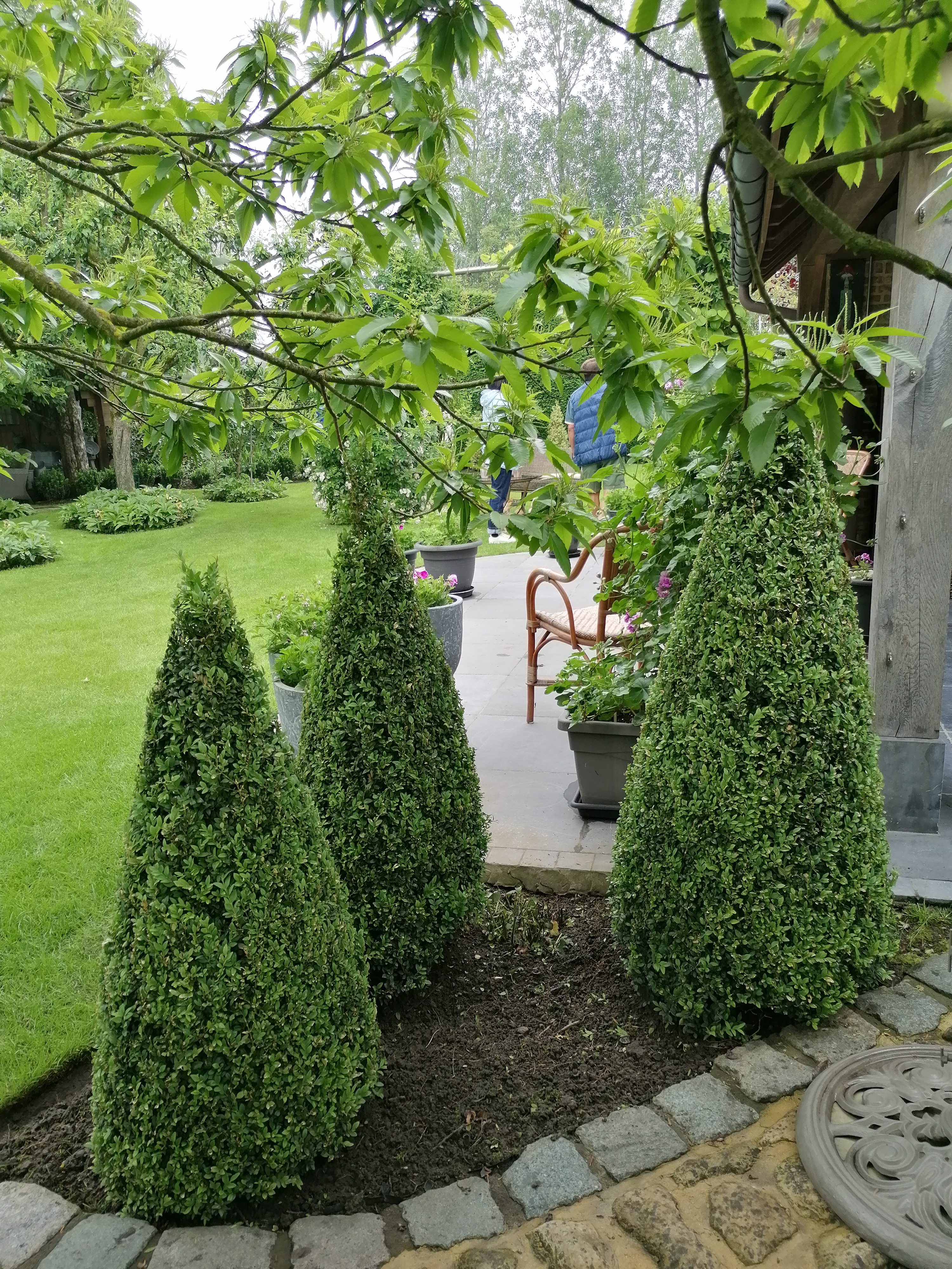 Tuin Vermeulen Guy