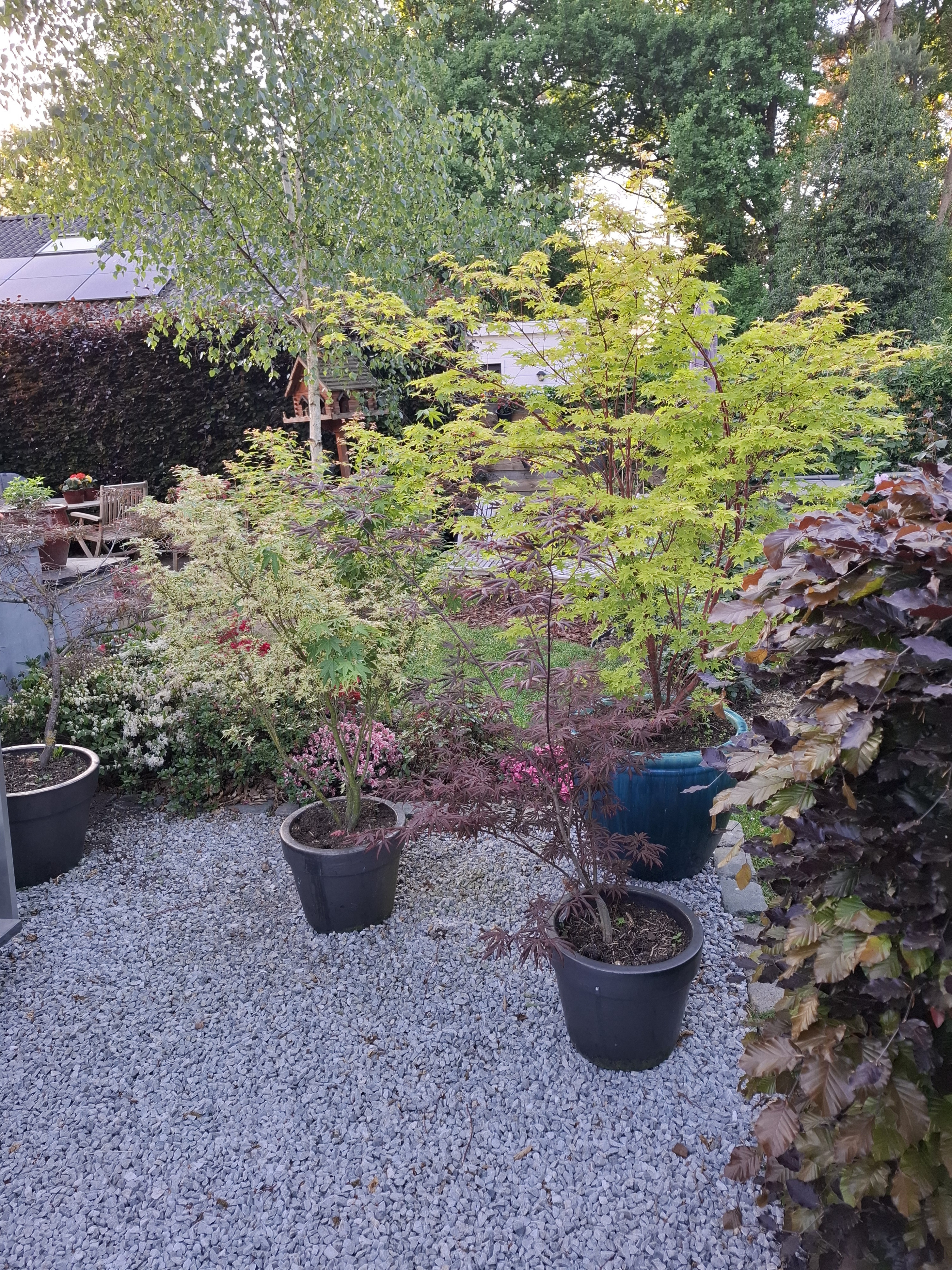 Tuin Jos Vanoppen