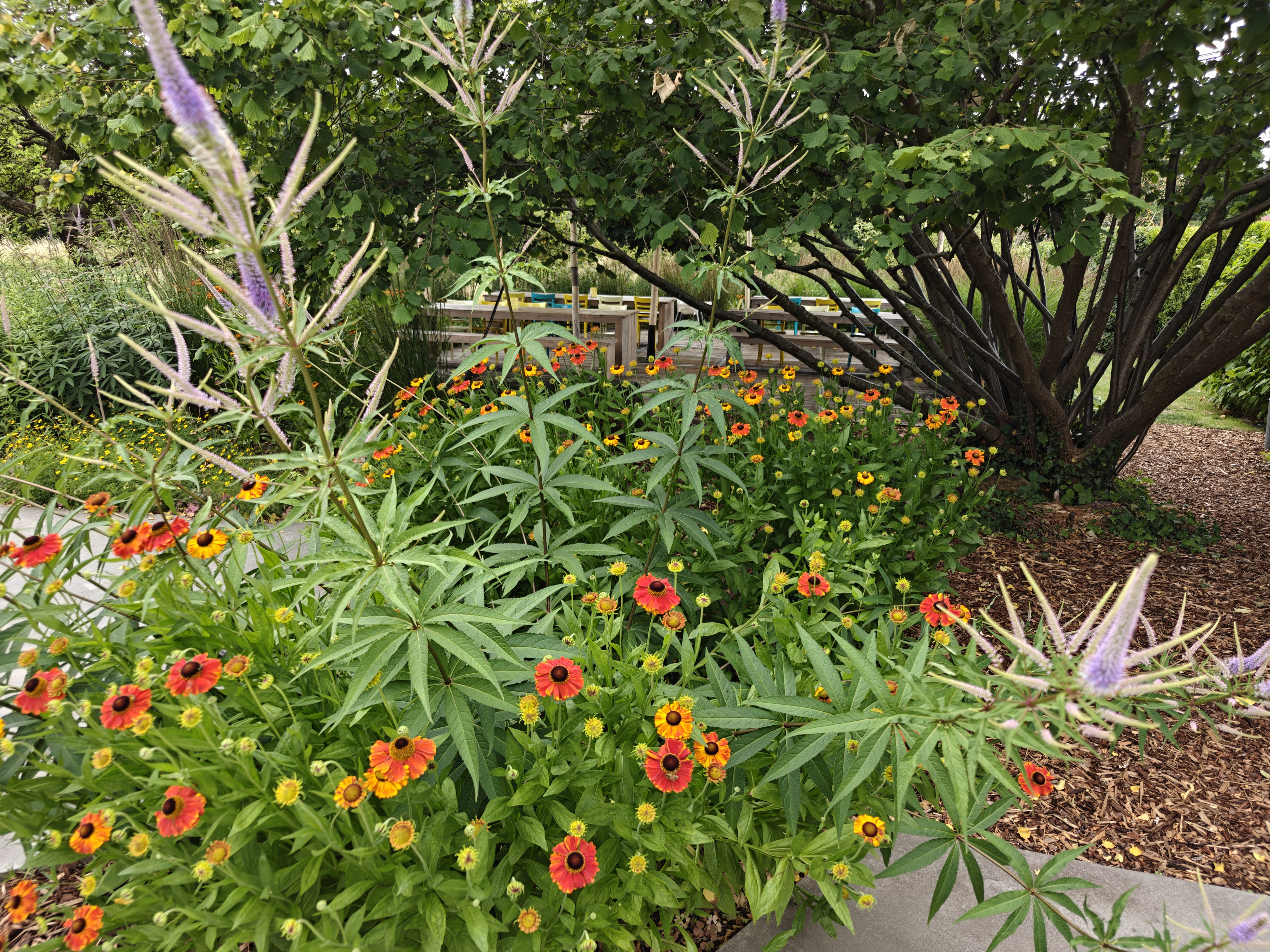 Tuin Kirsten Steensels