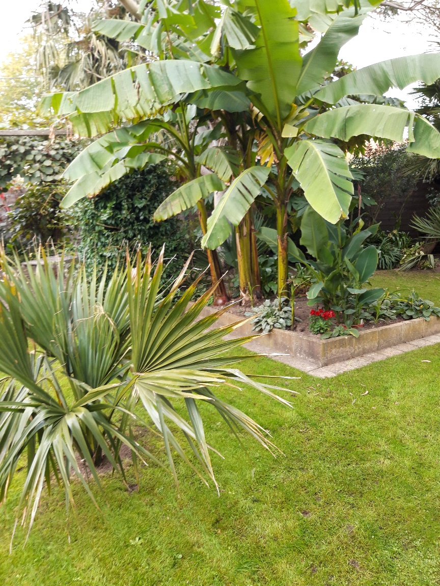 Tuin Geert De Maerschalck