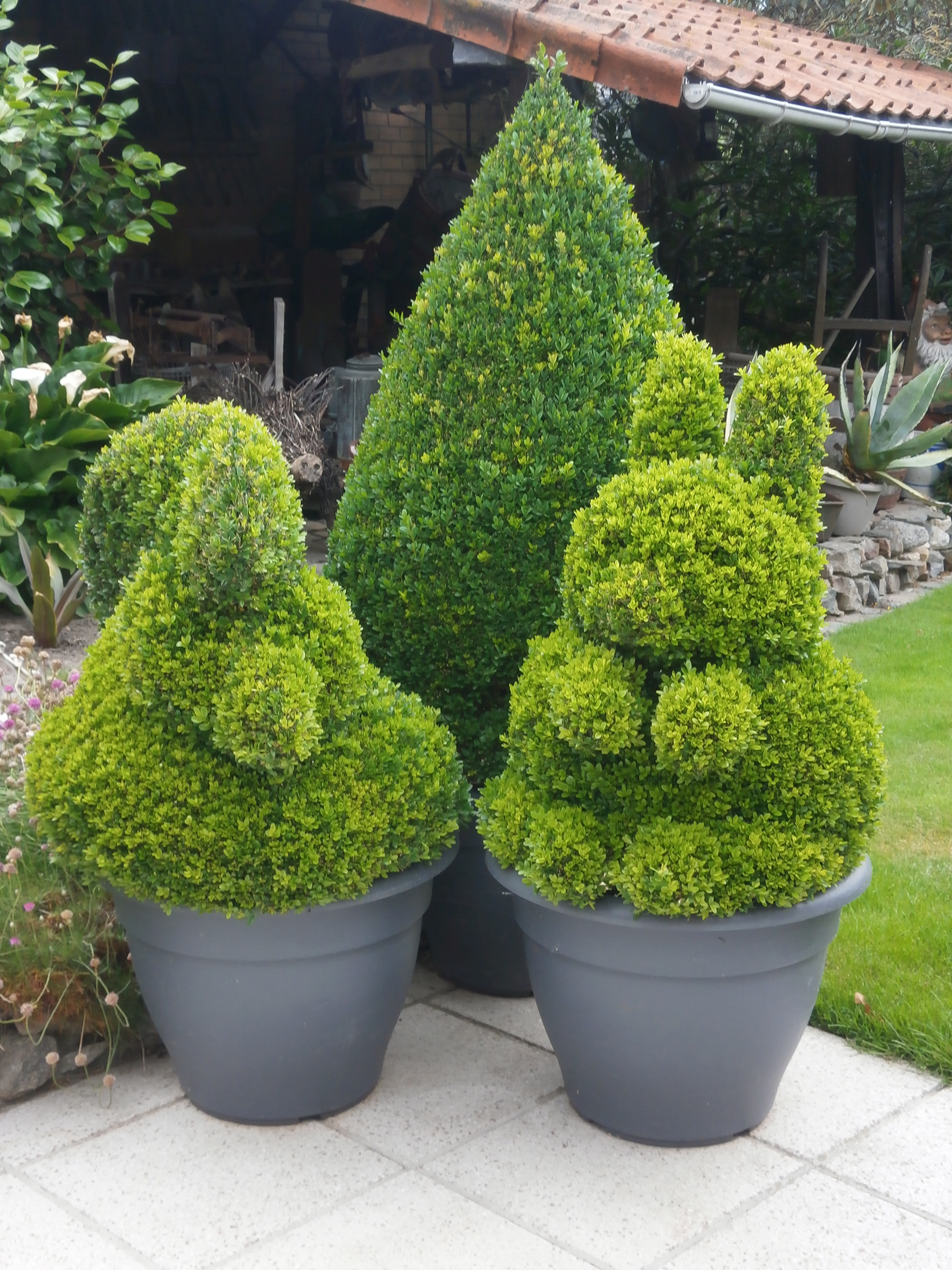 Tuin Marc Deboysere