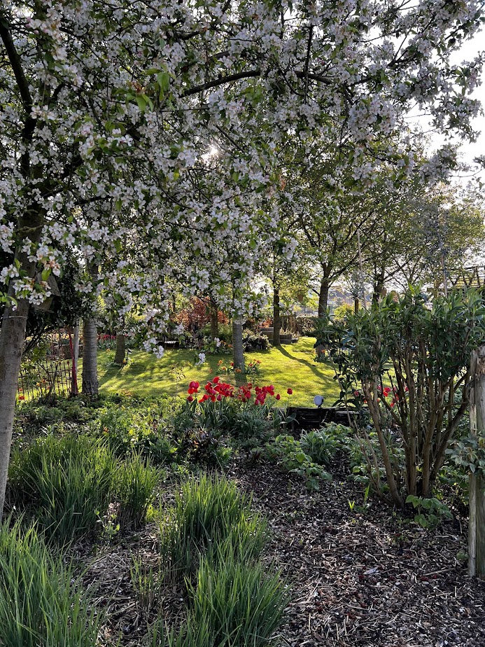 Tuin  de Tuindokter
