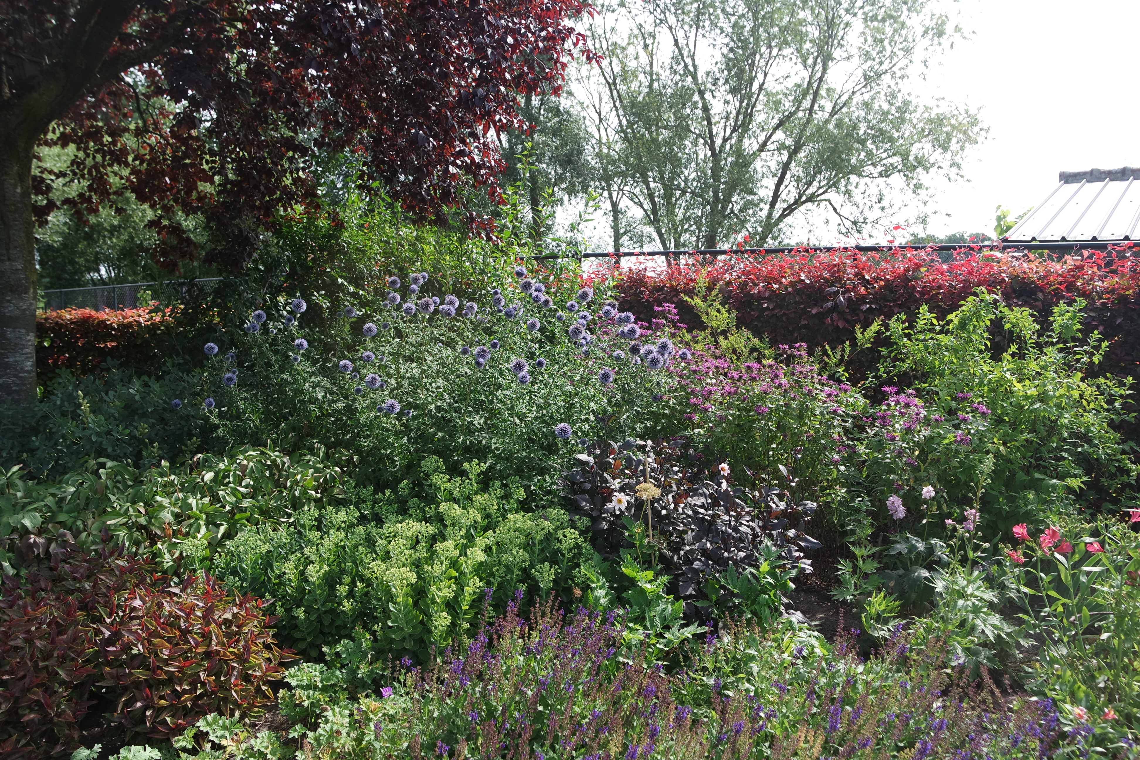 Tuin Stuer Dirk en Maria