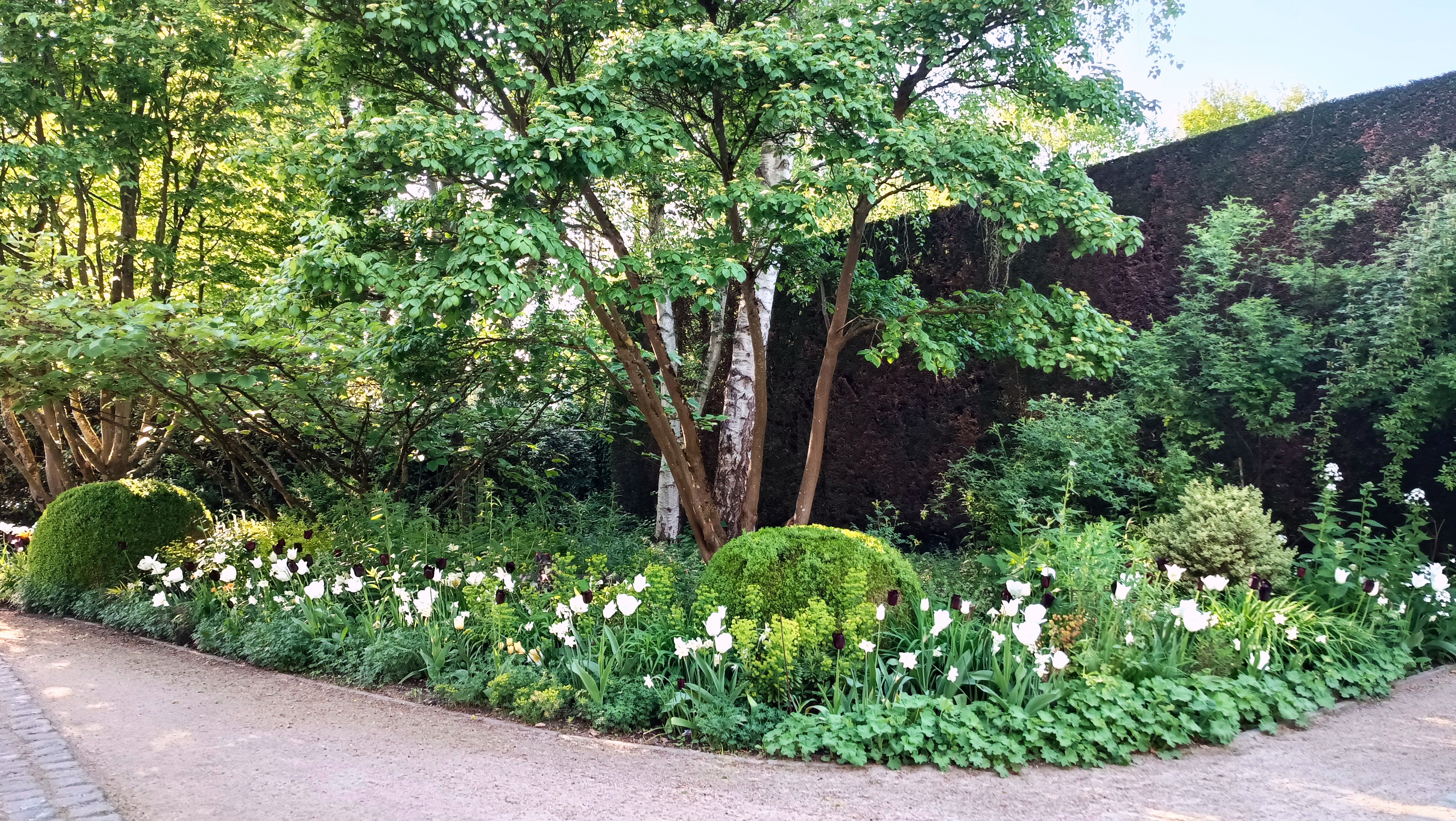 Tuin op de achtergrond