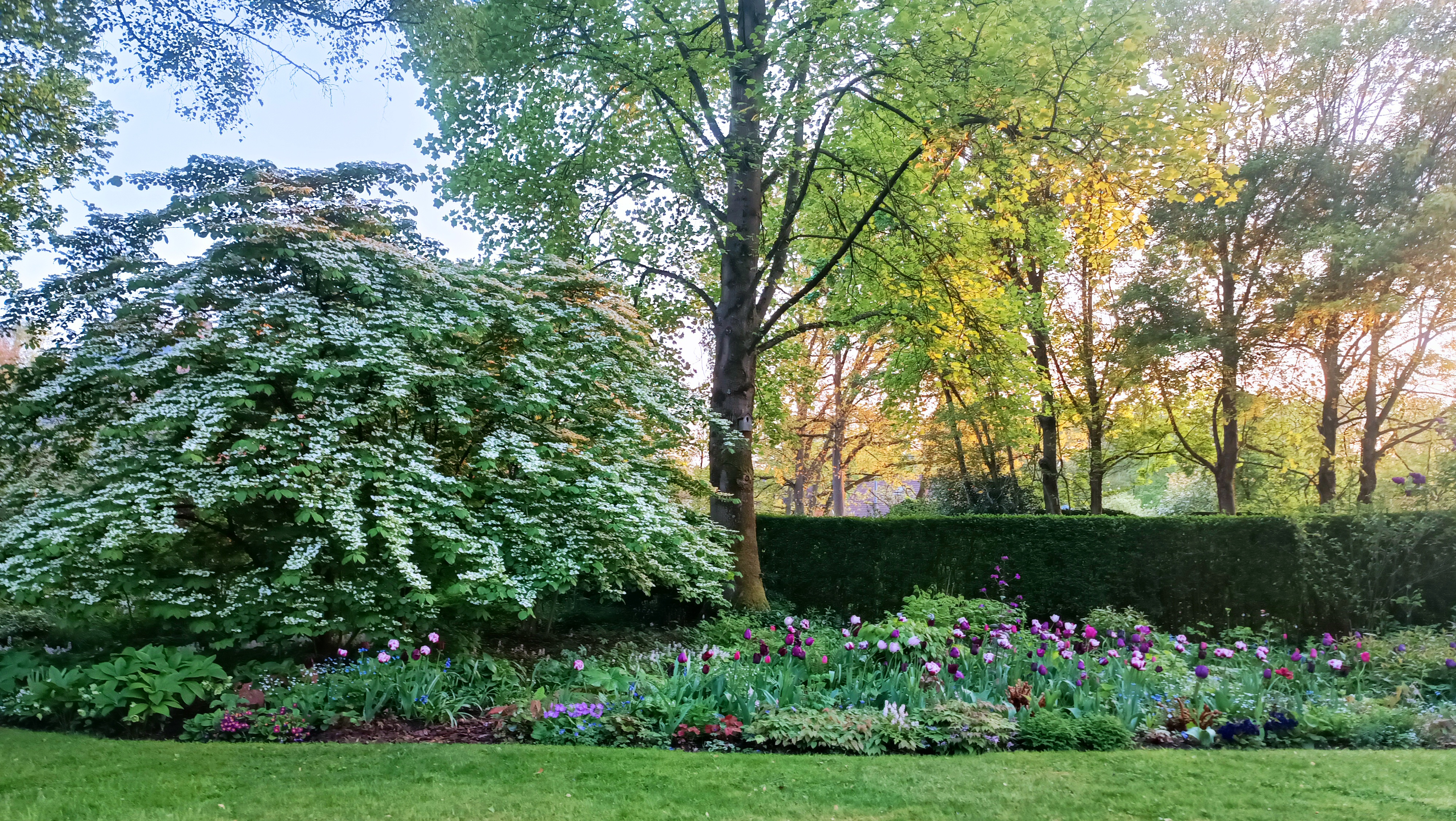 Tuin op de achtergrond