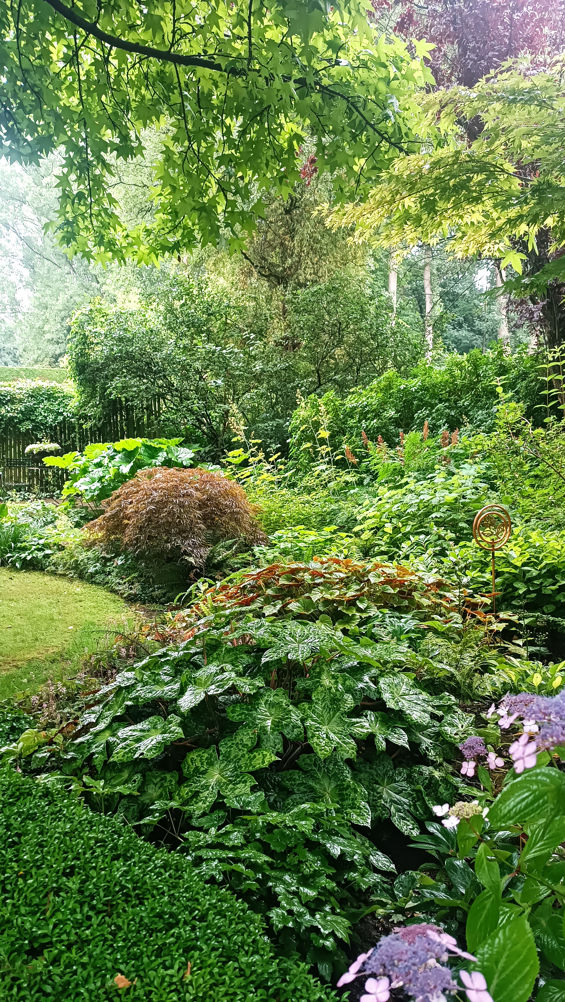 Tuin op de achtergrond