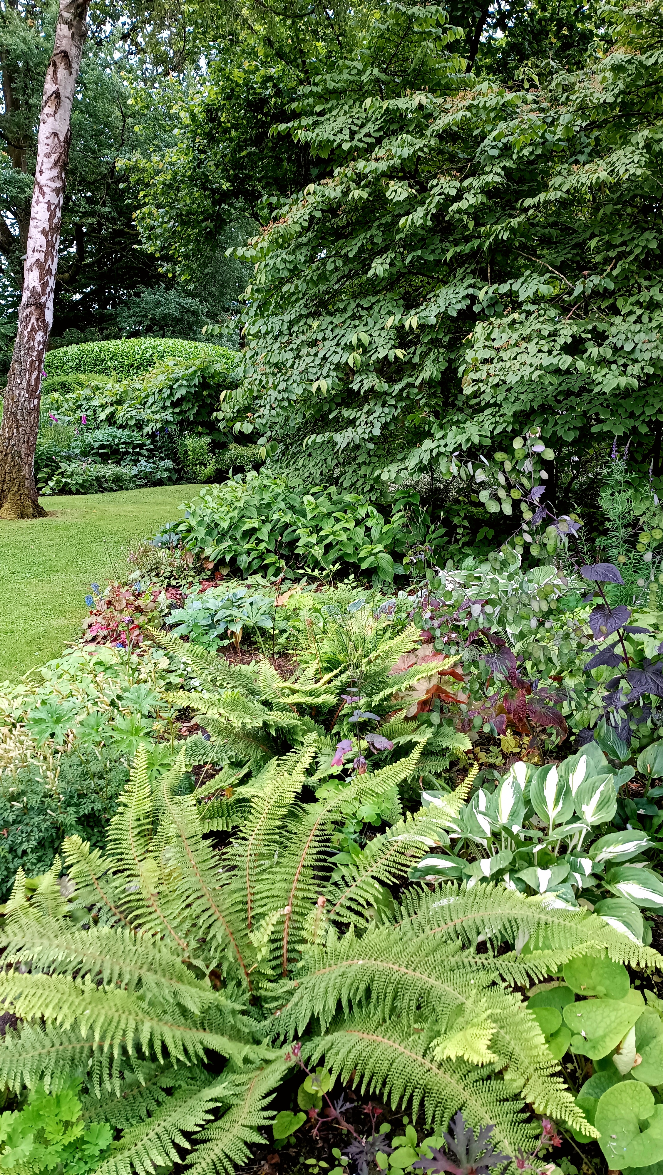 Tuin op de achtergrond