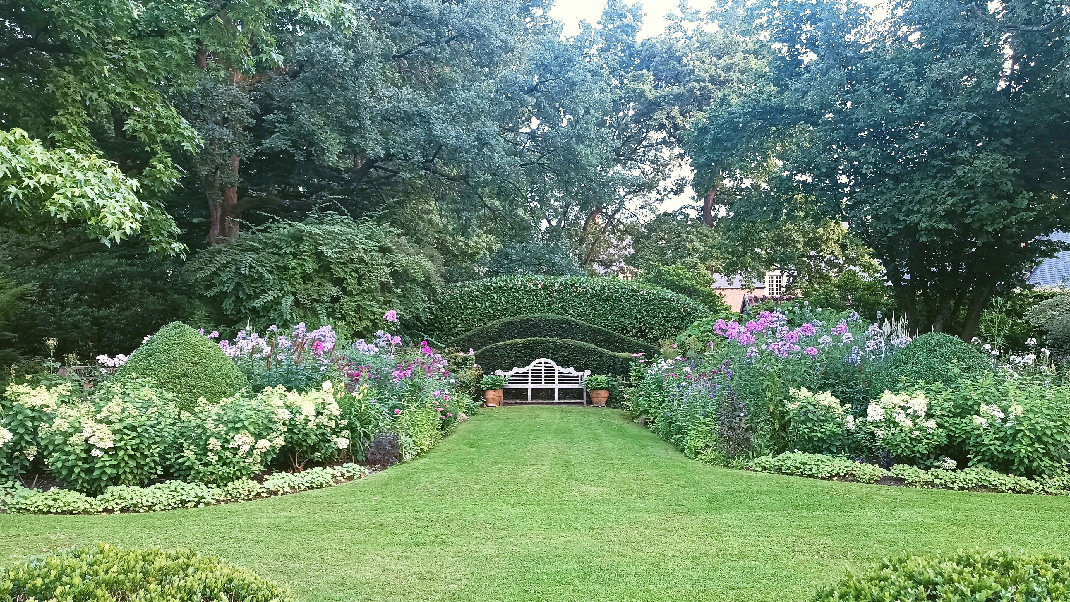 Tuin op de achtergrond