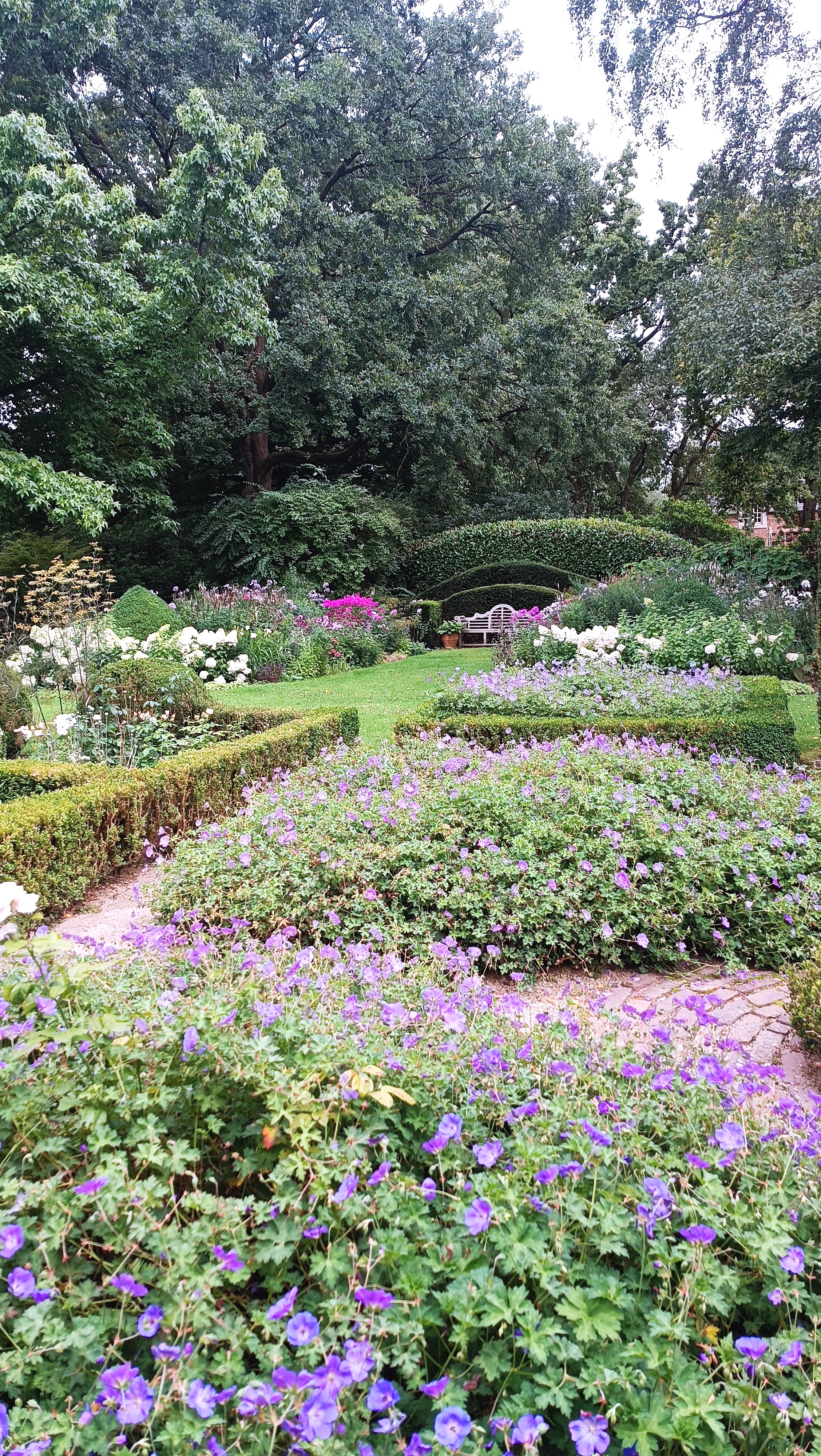 Tuin op de achtergrond
