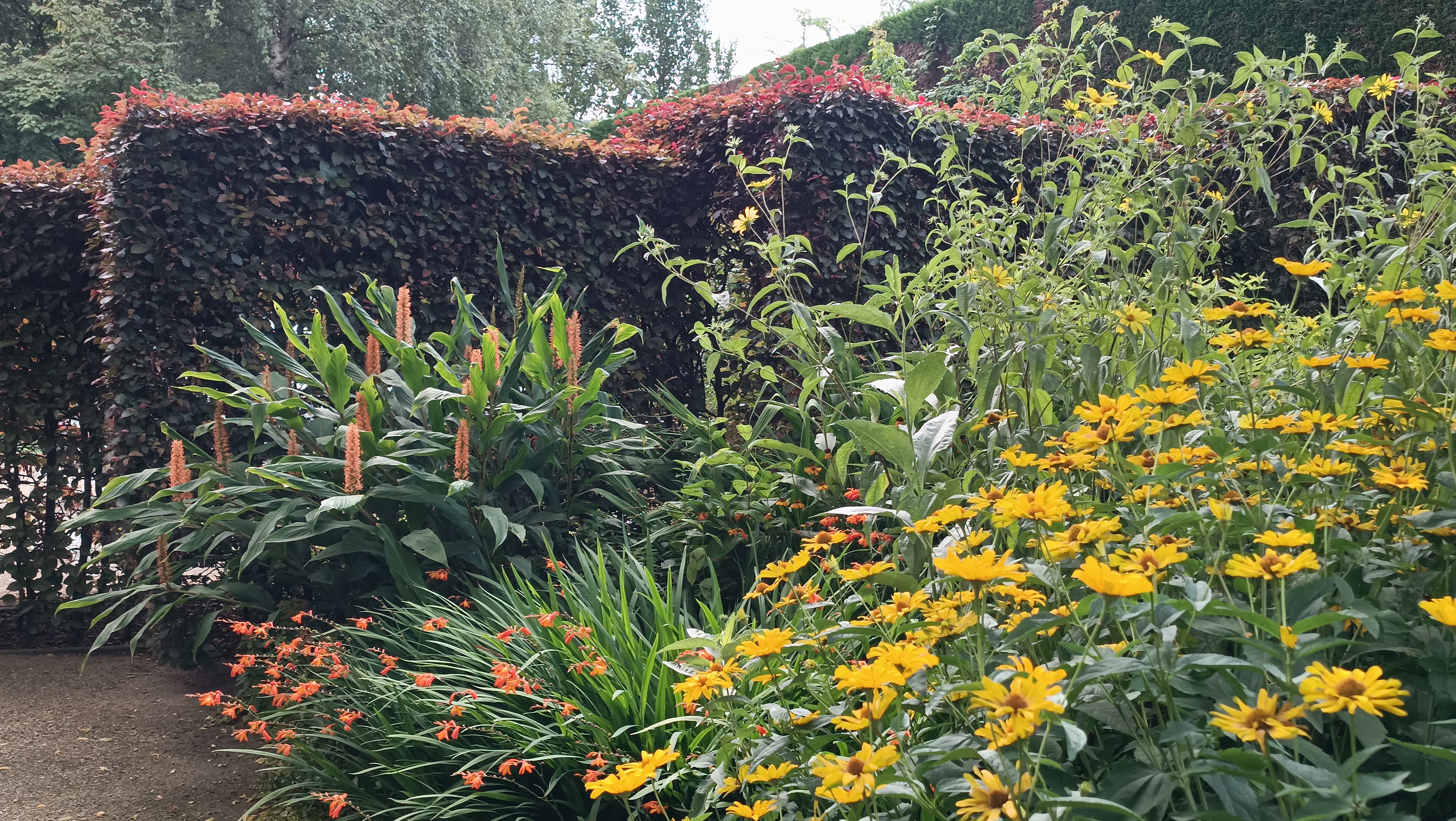 Tuin op de achtergrond