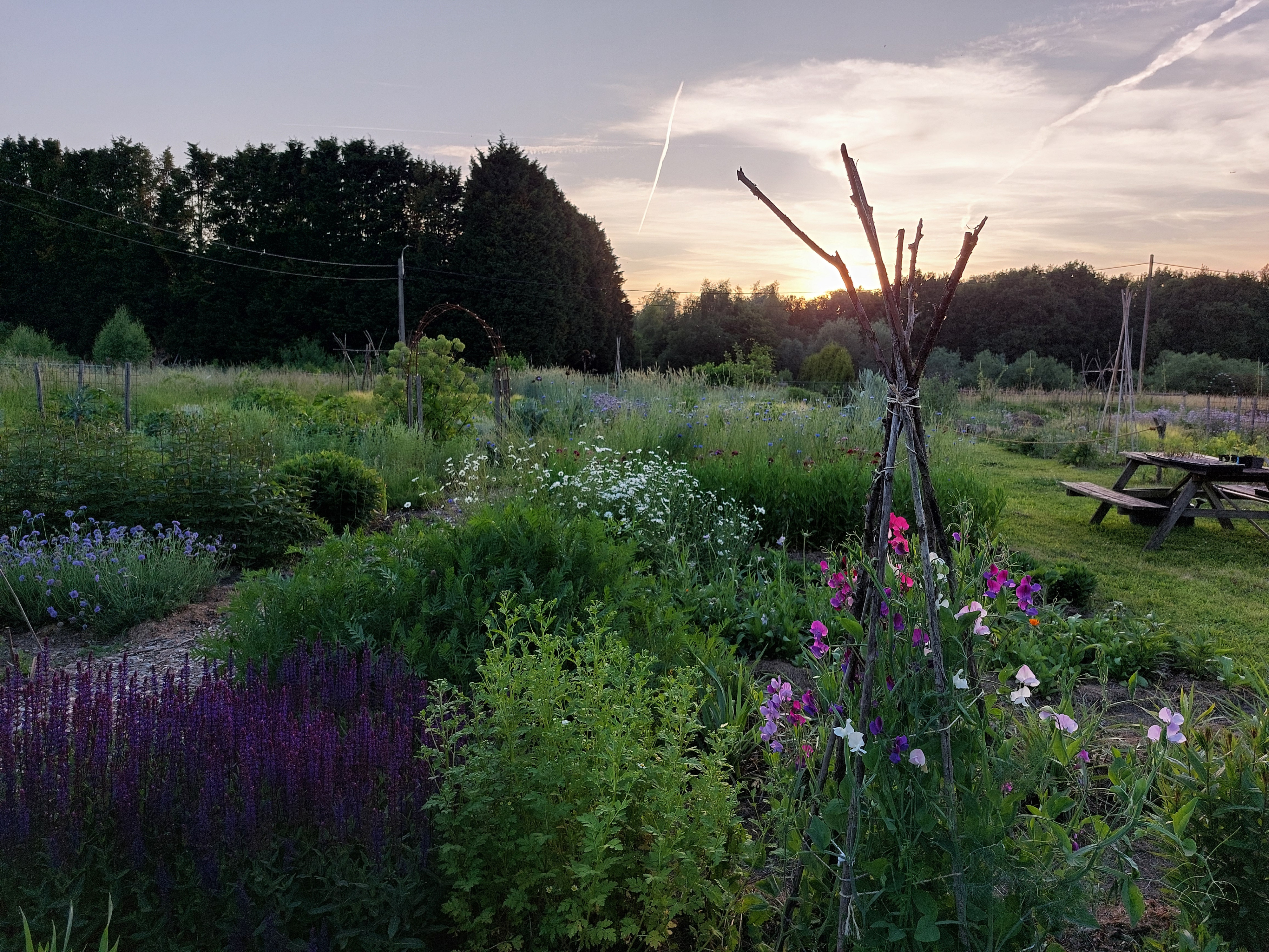 Tuin Ter Kruyslanden