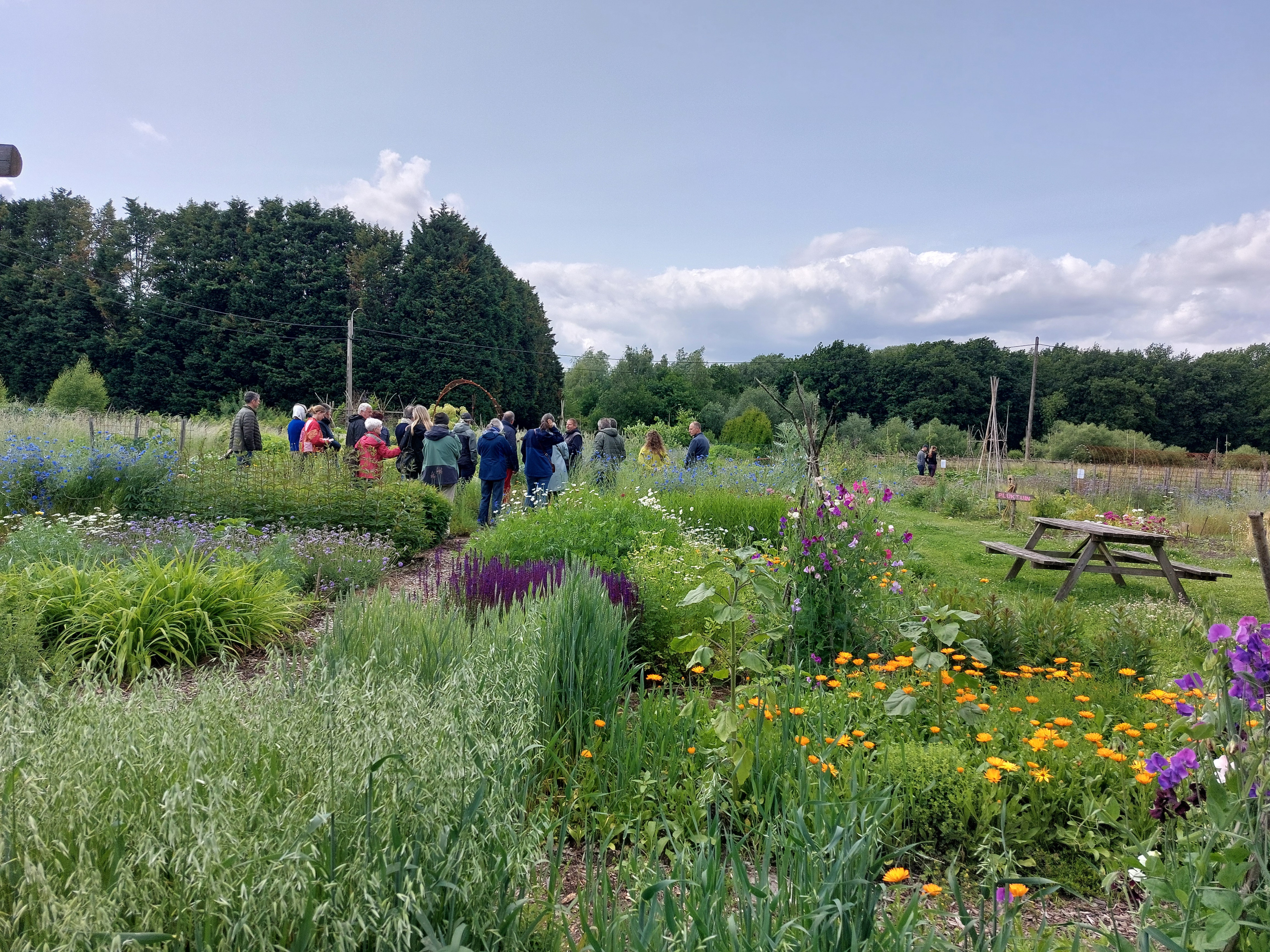 Tuin Ter Kruyslanden