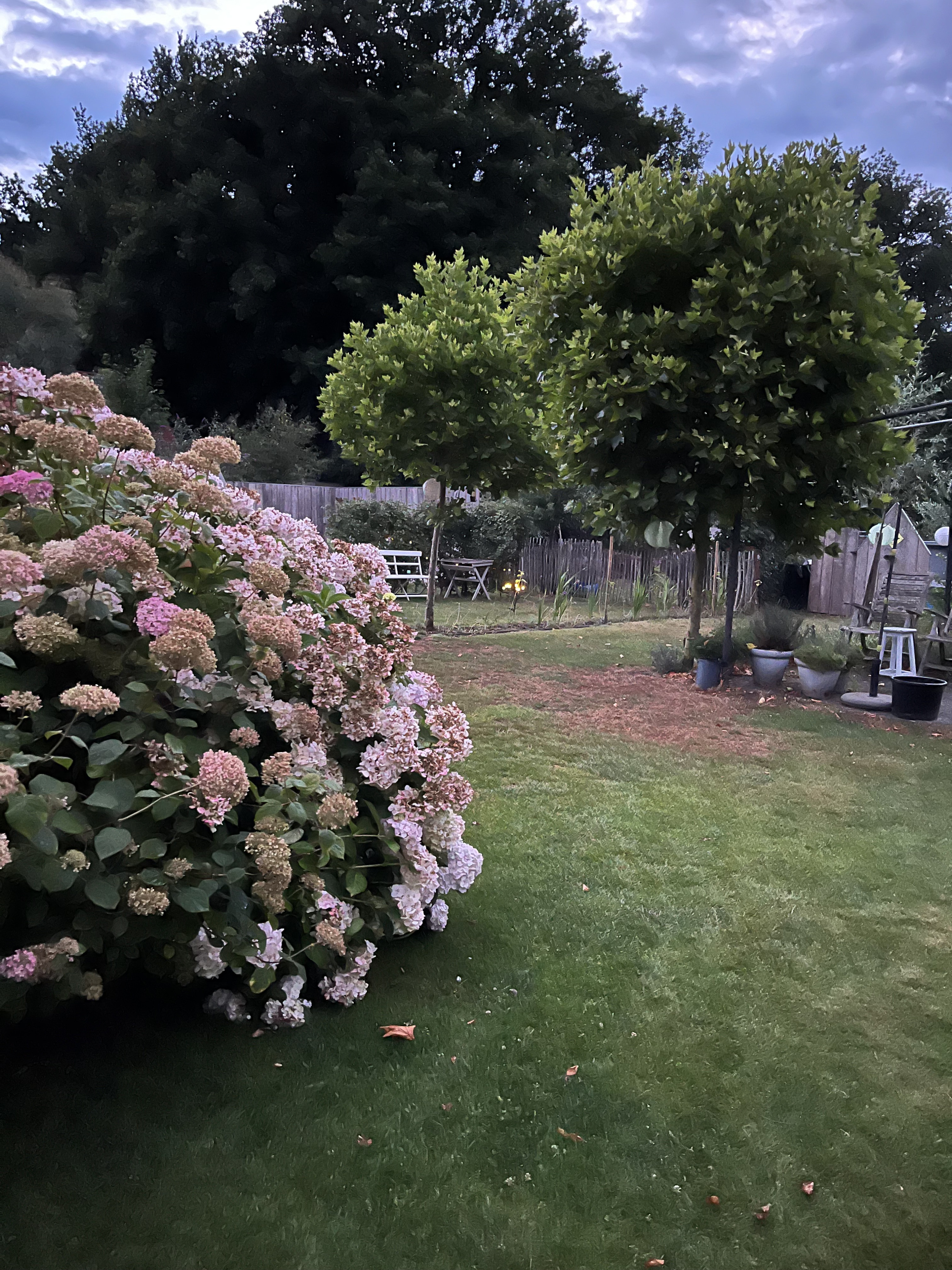 Tuin Caroline Verbeeck