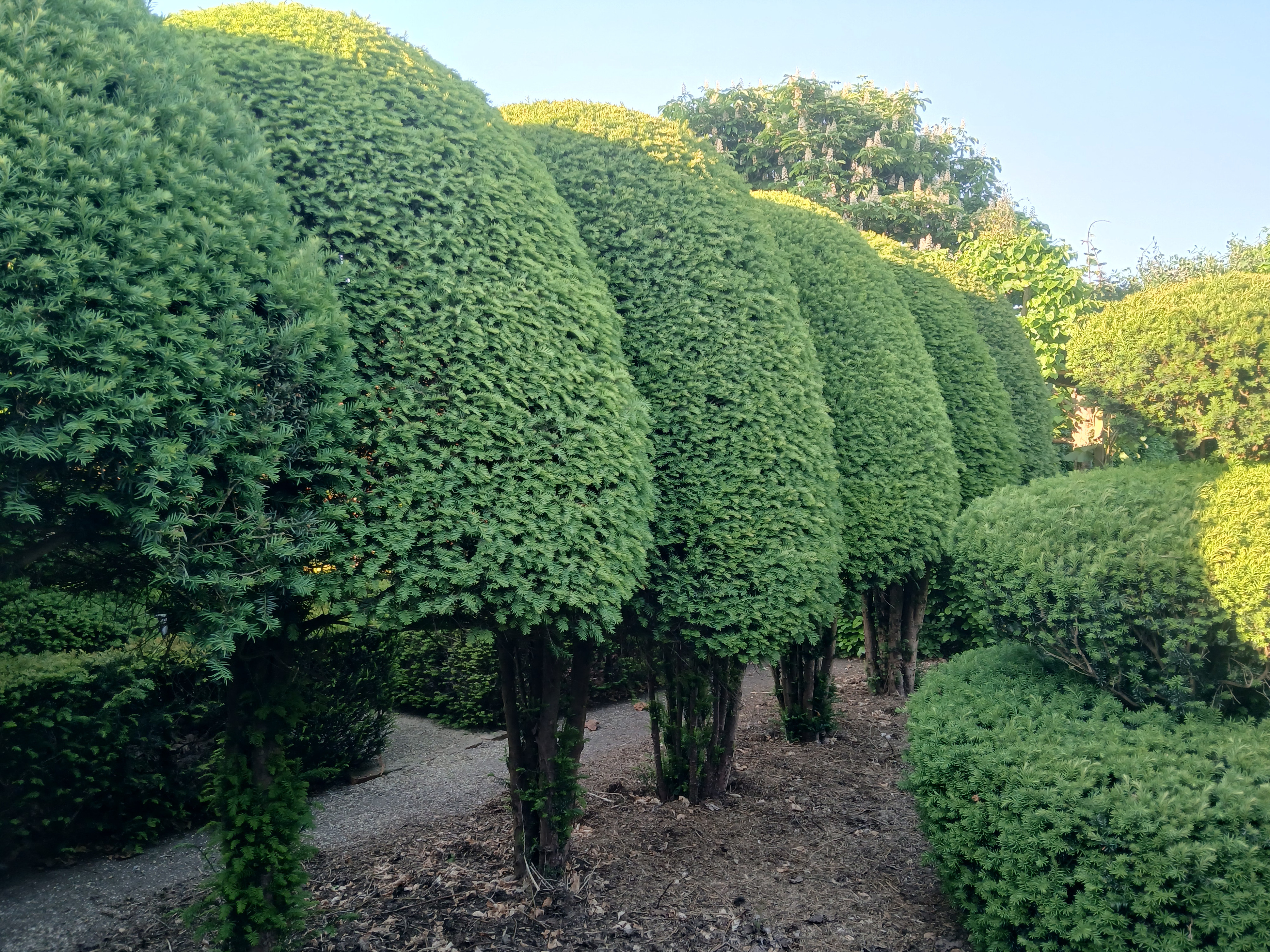 Tuin Dirk Van Rillaer