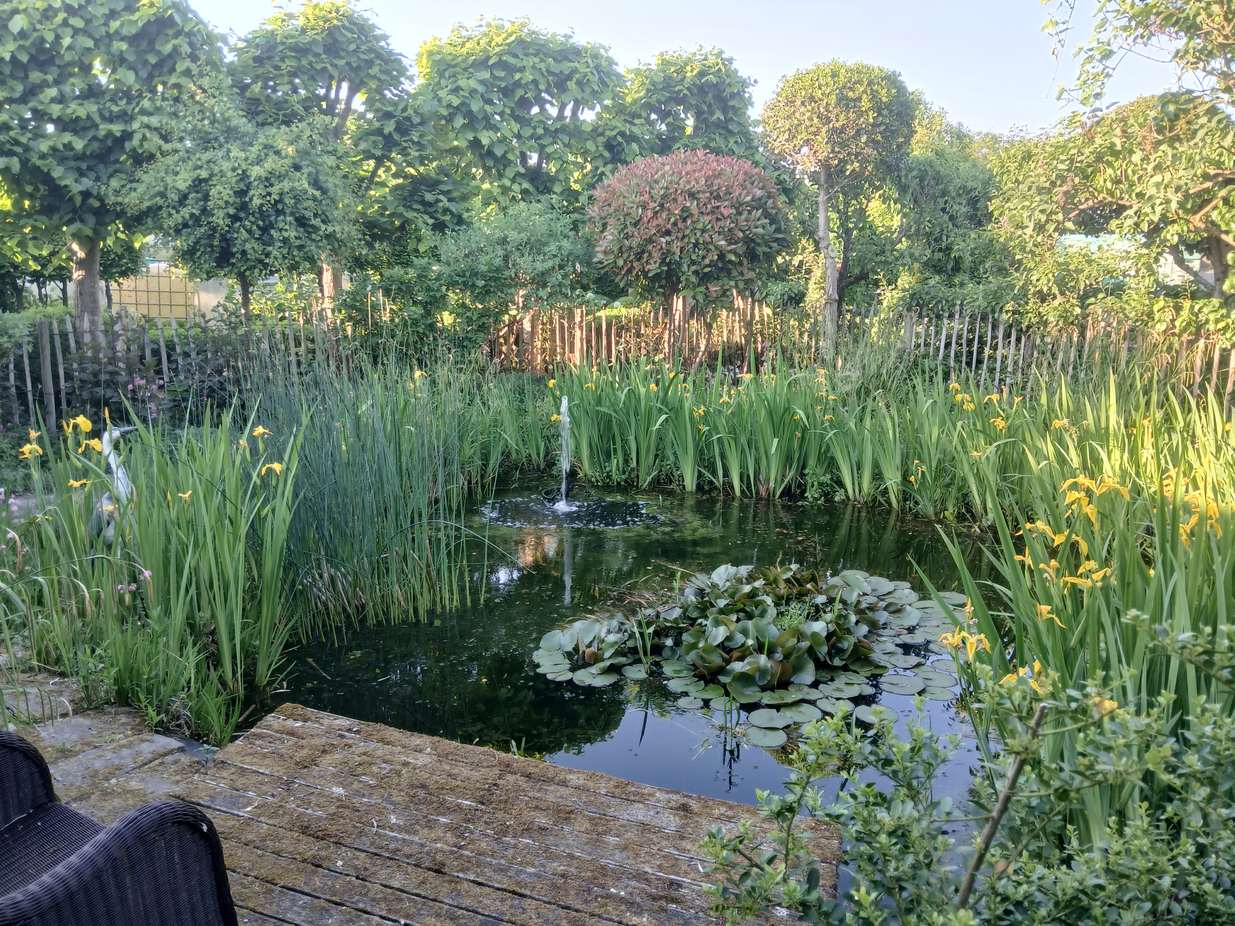 Tuin Dirk Van Rillaer