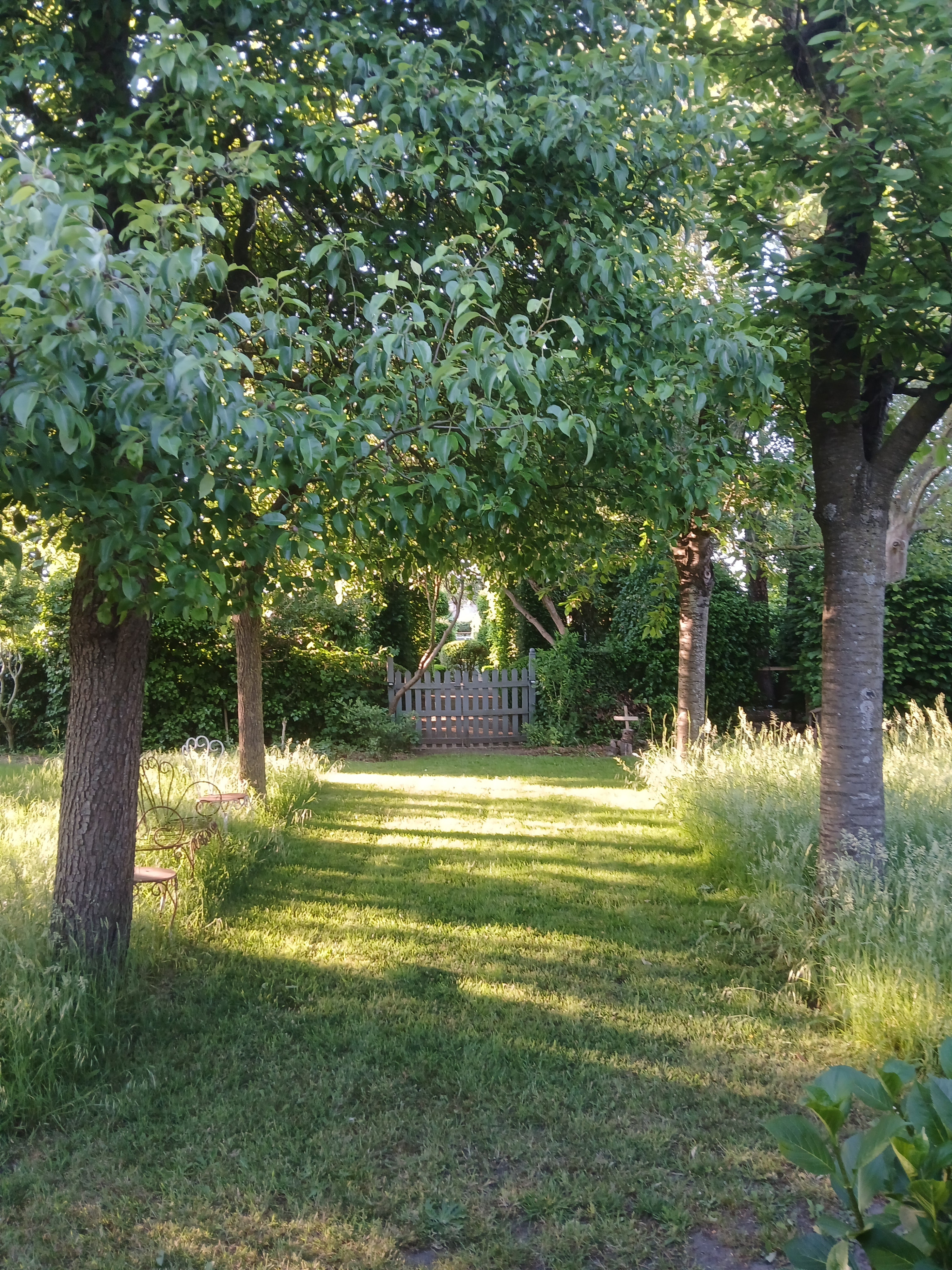 Tuin Dirk Van Rillaer